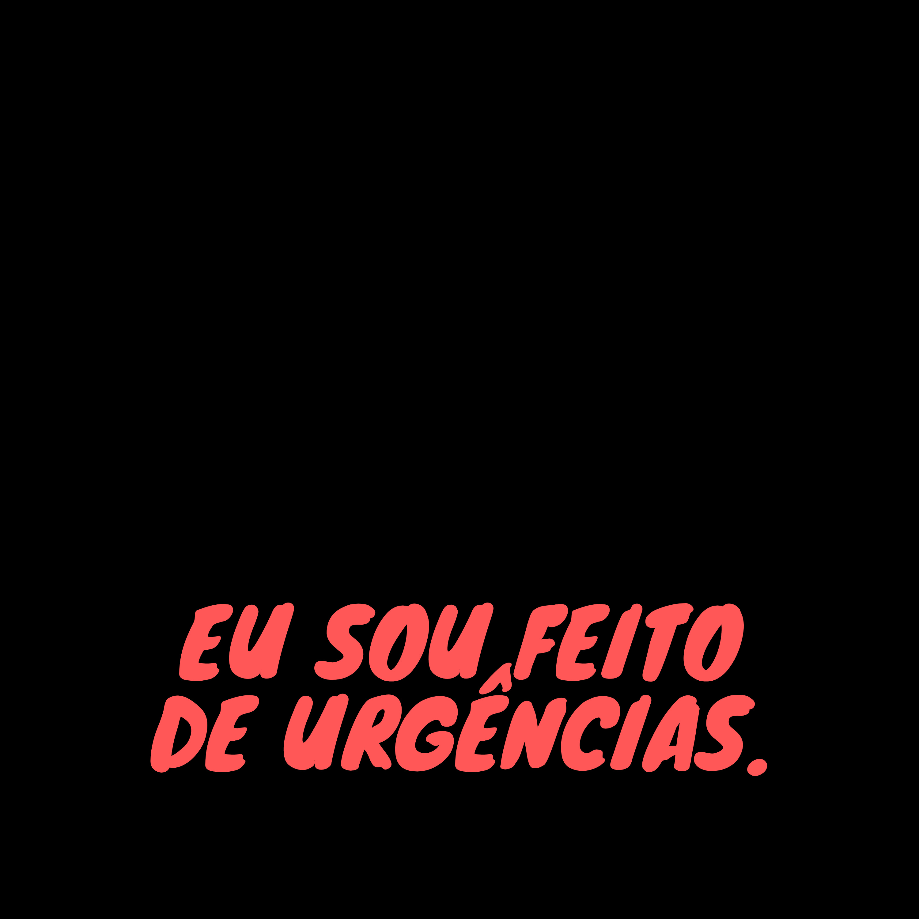 Poeta Por Acaso
