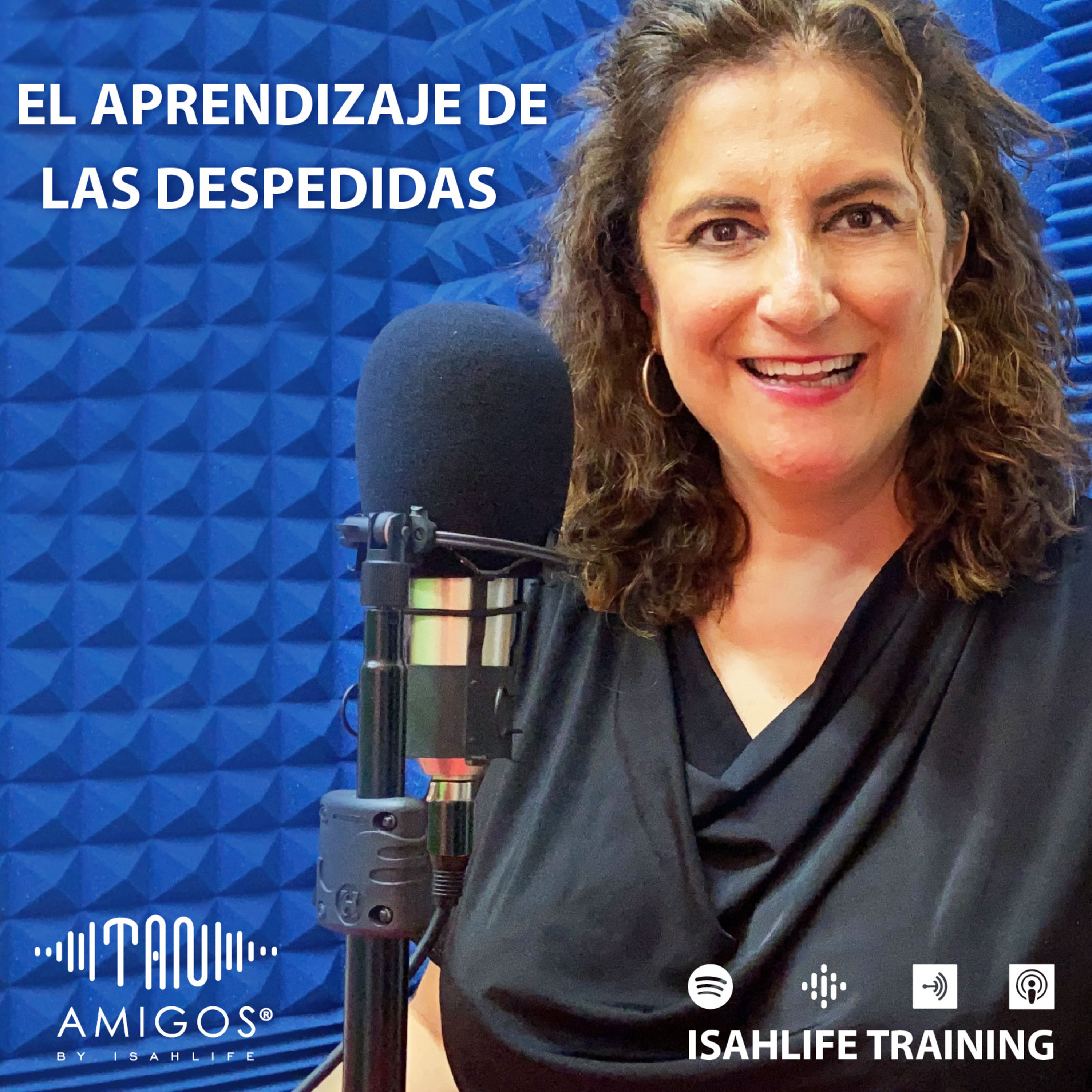 El aprendizaje de las despedidas episode artwork