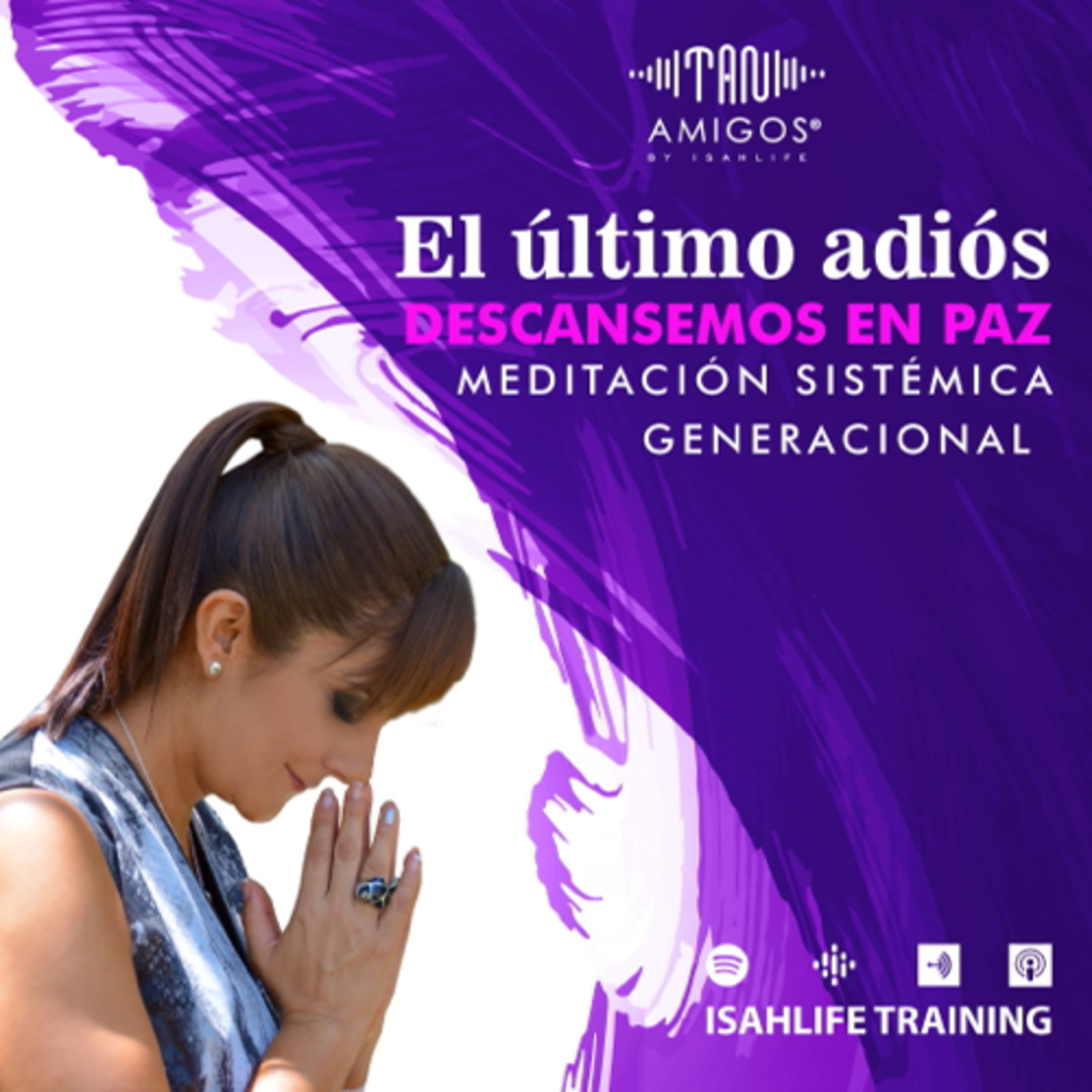 El último adiós.  episode artwork