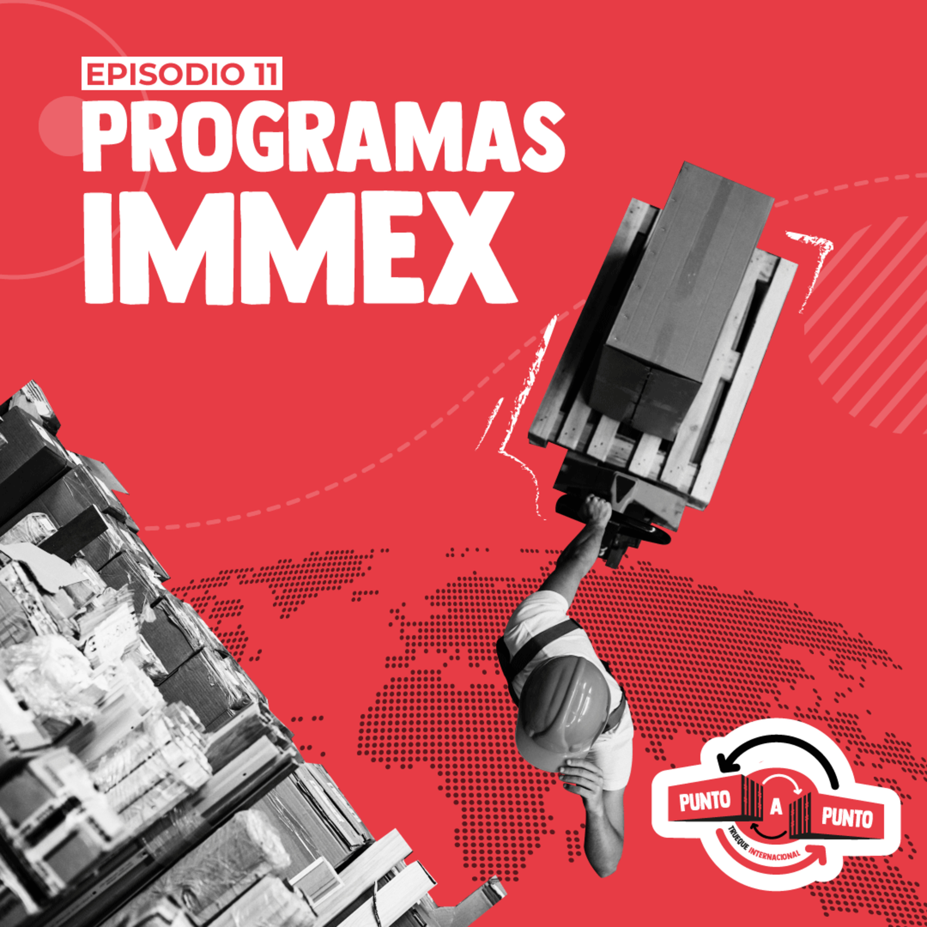 Programas IMMEX episode artwork