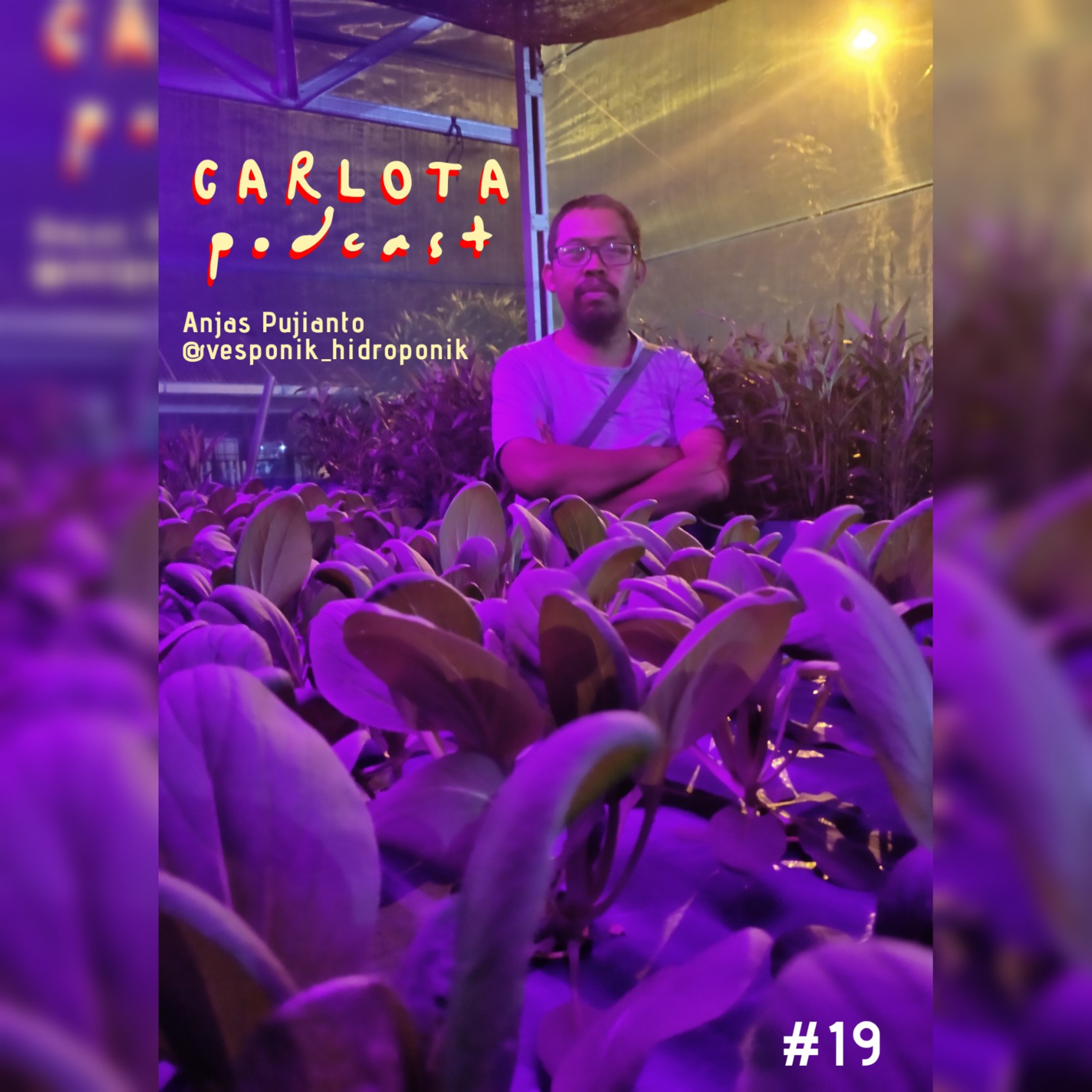 CARLOTA Podcast