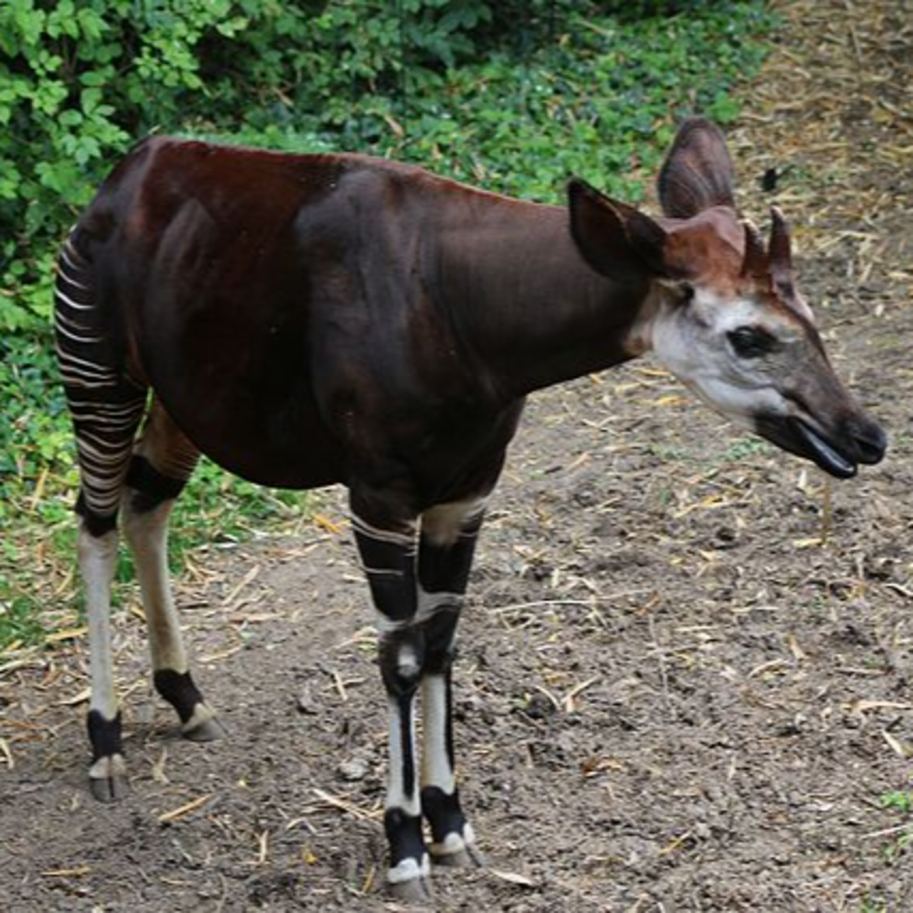 The mindboggling marvels of nature