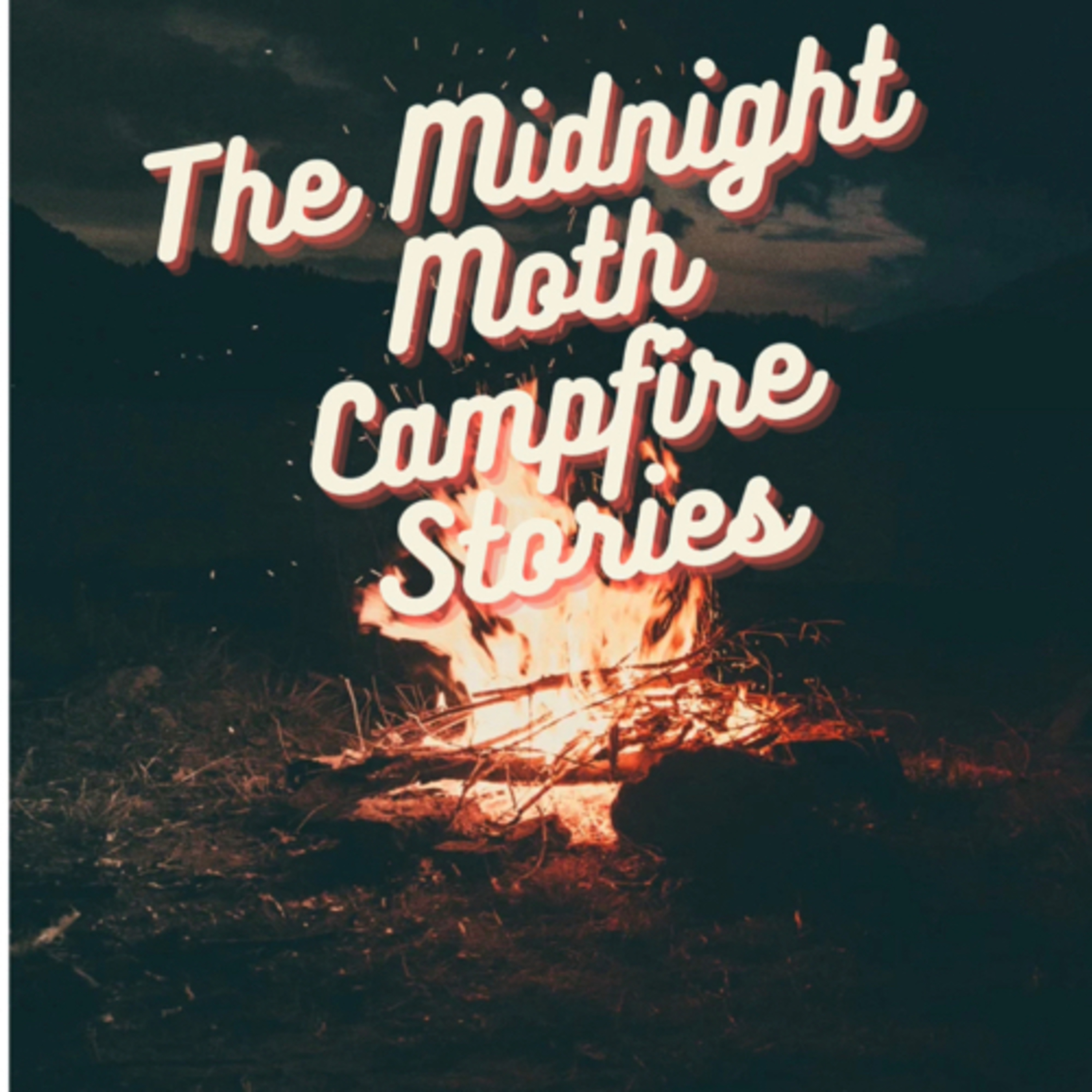 The Midnight Moth