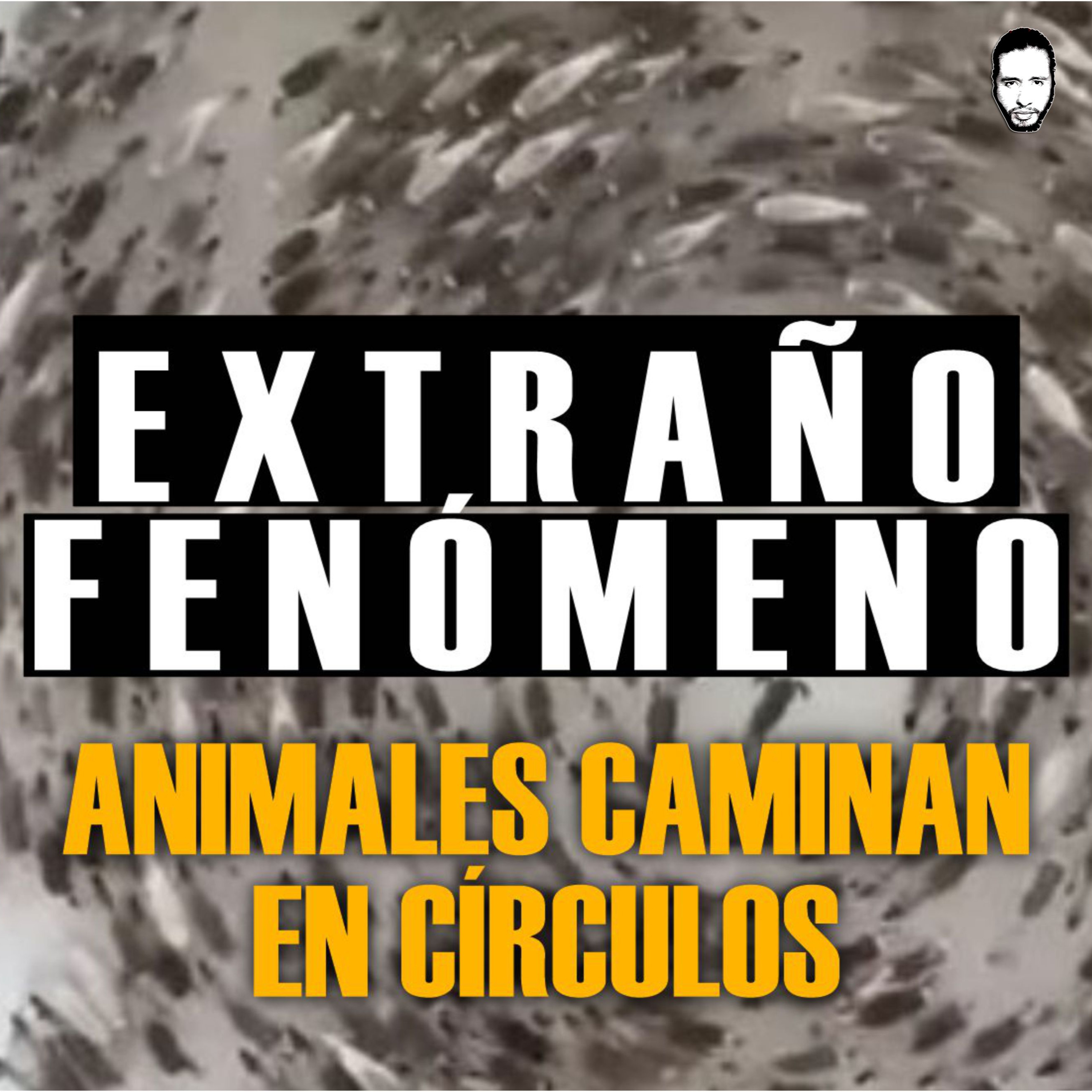EL SAMUEL LOZANO 🎧