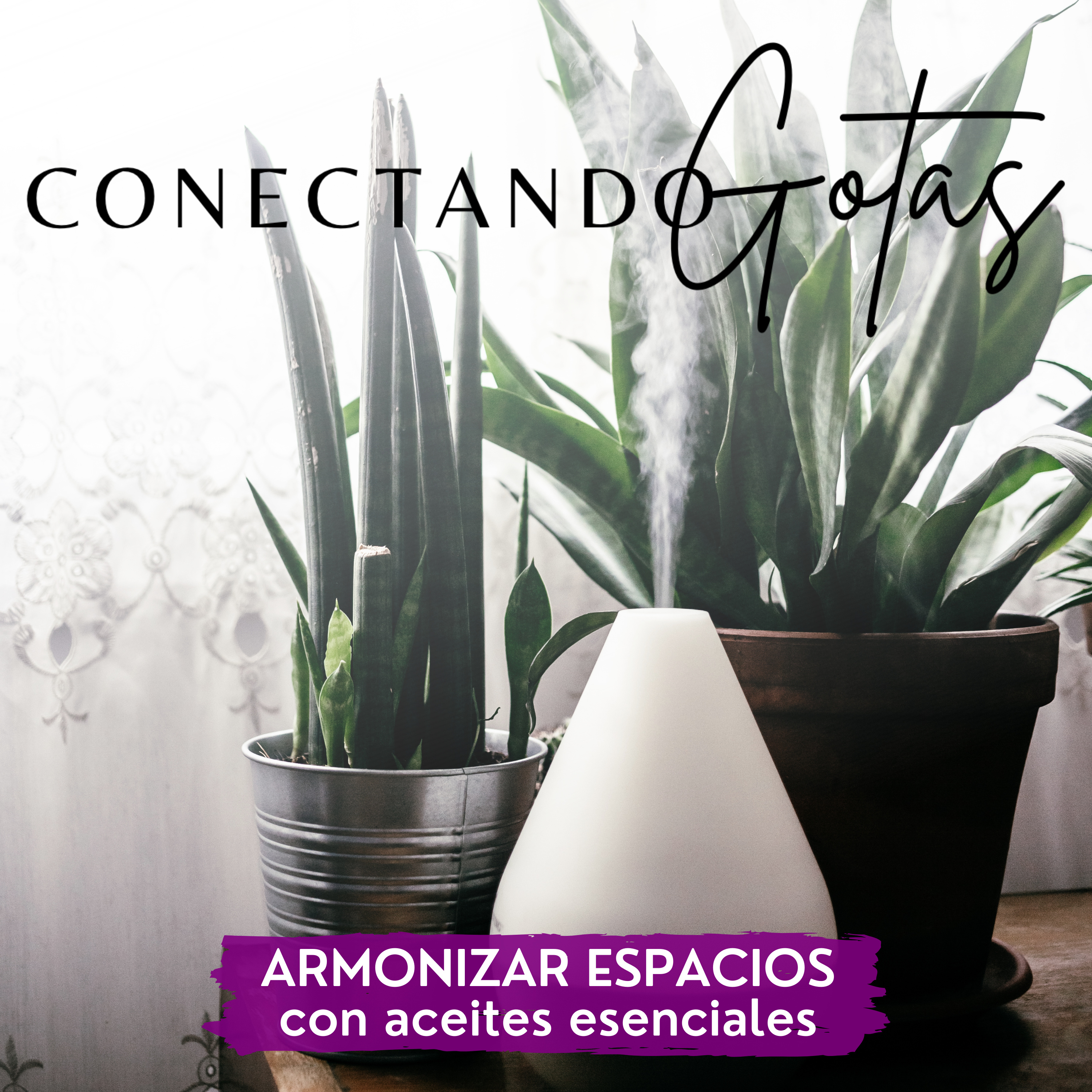 Conectando Gotas - Aceites Esenciales