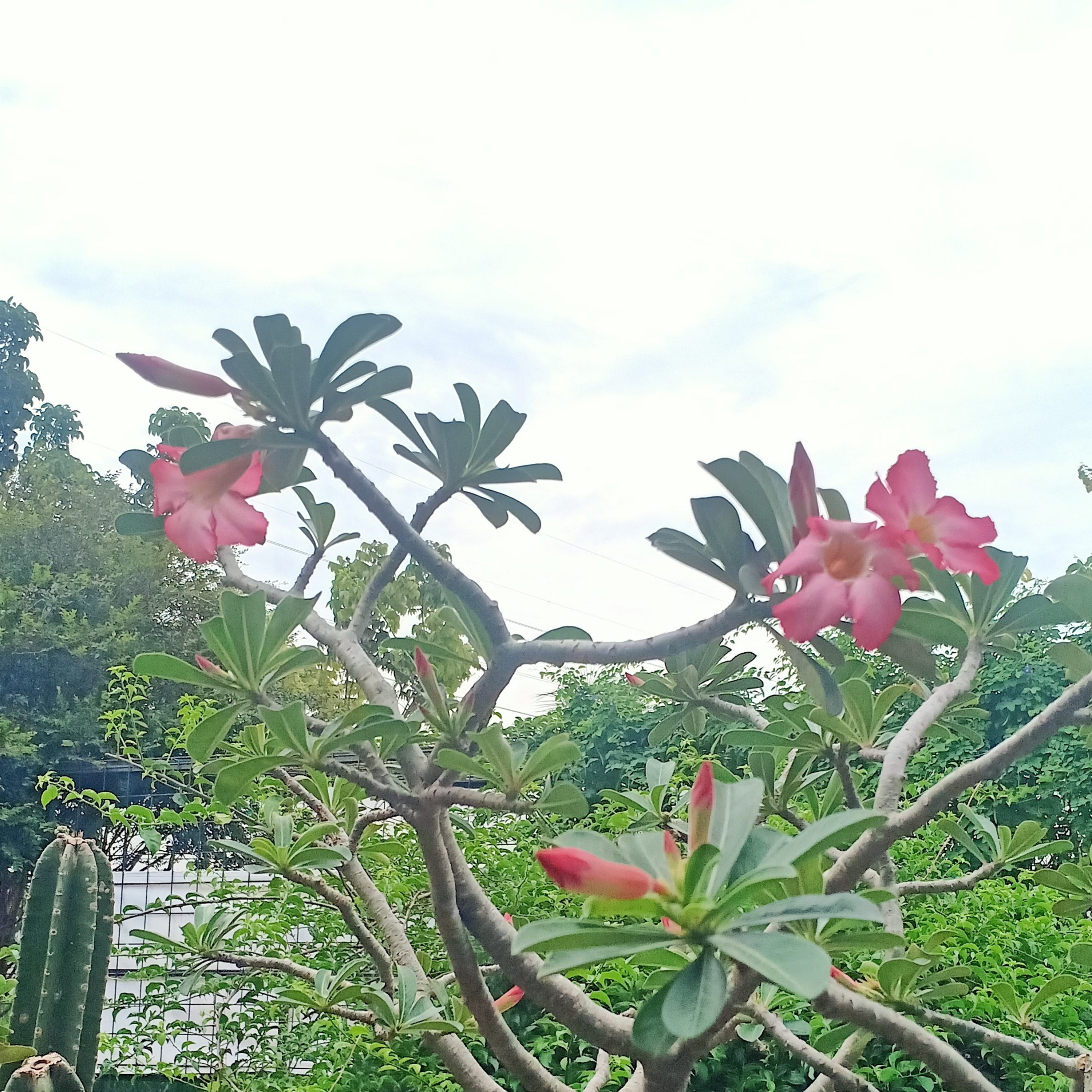 Bercerita Dengan Hati