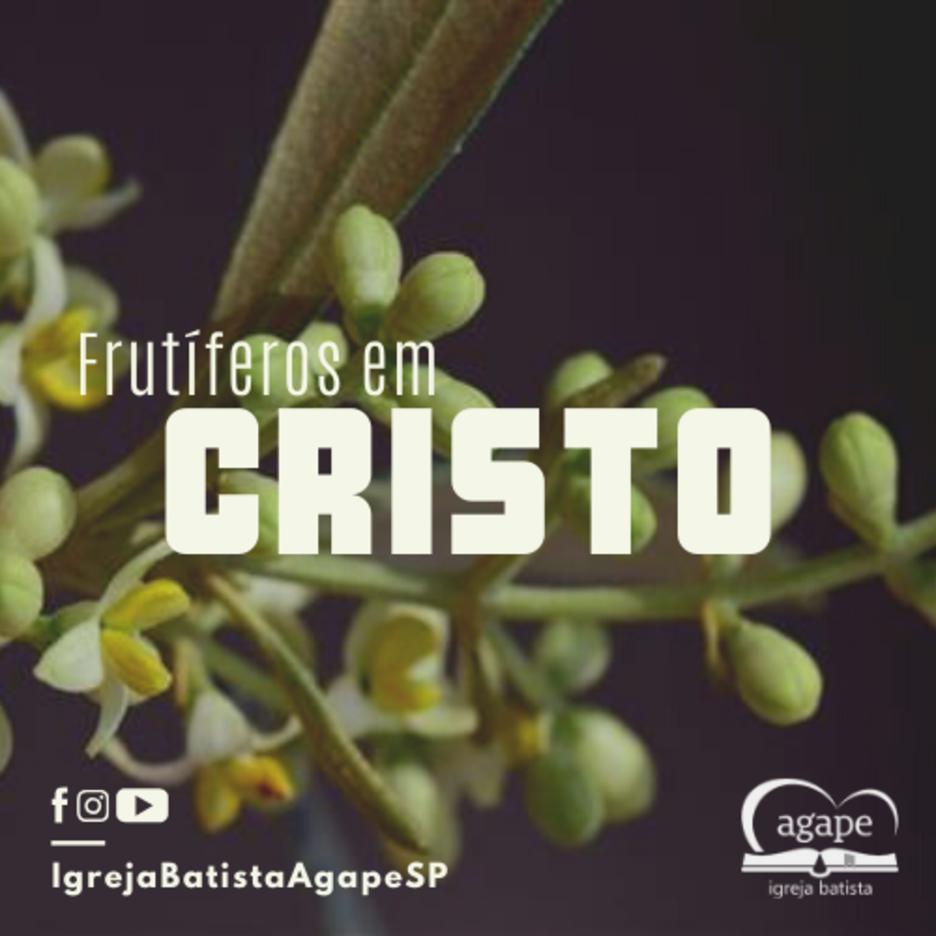 Igreja Batista Agape