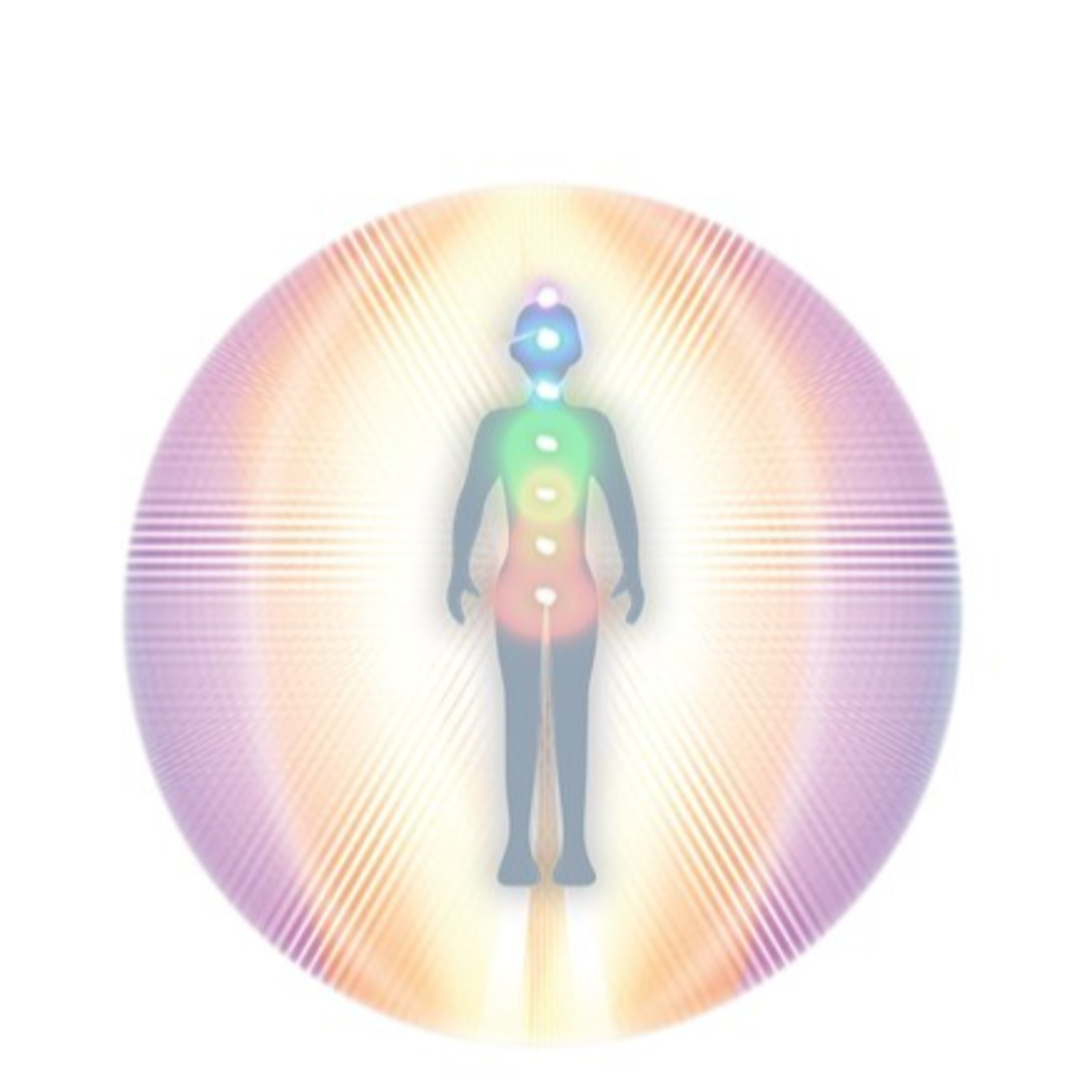 Anatomía Multidimensional