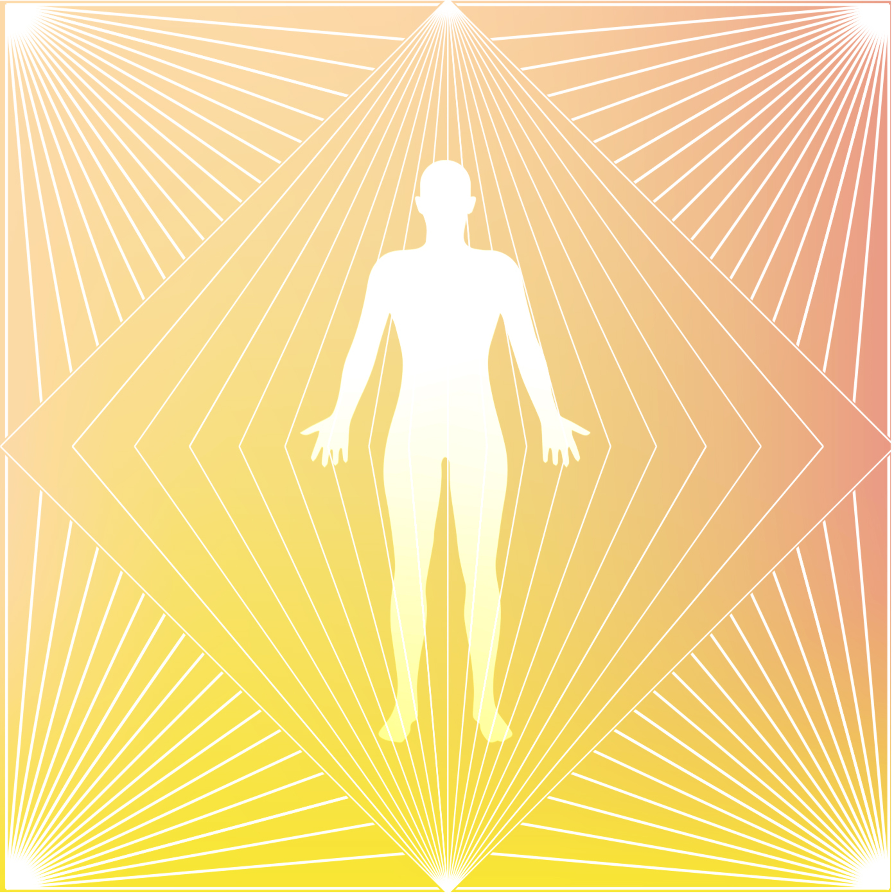 Anatomía Multidimensional