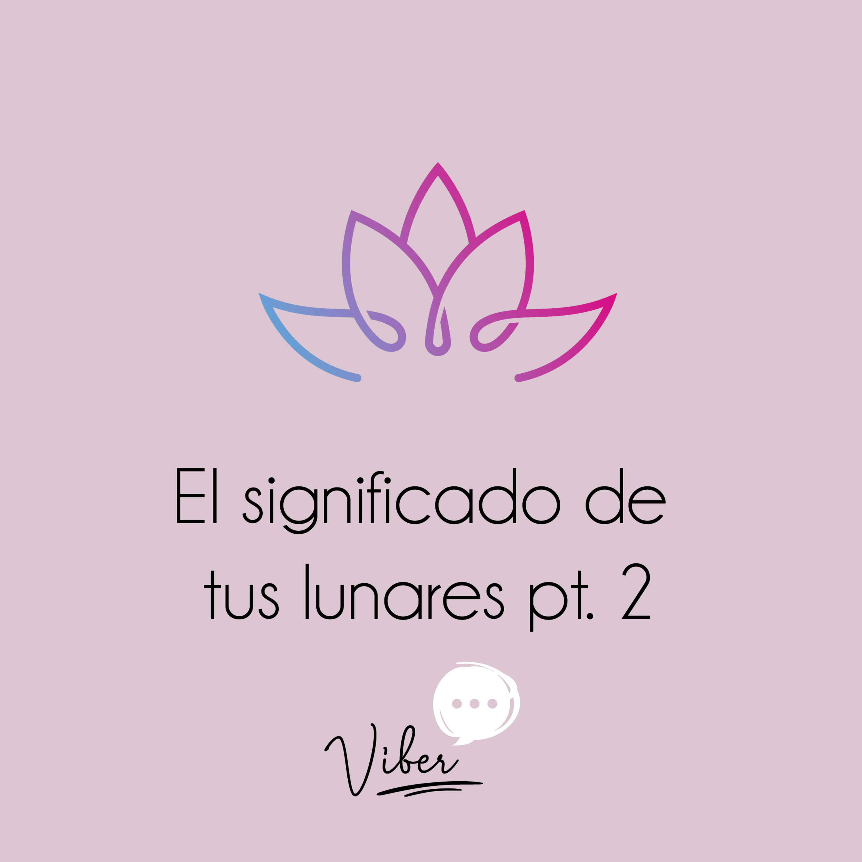 Despierta tu energía