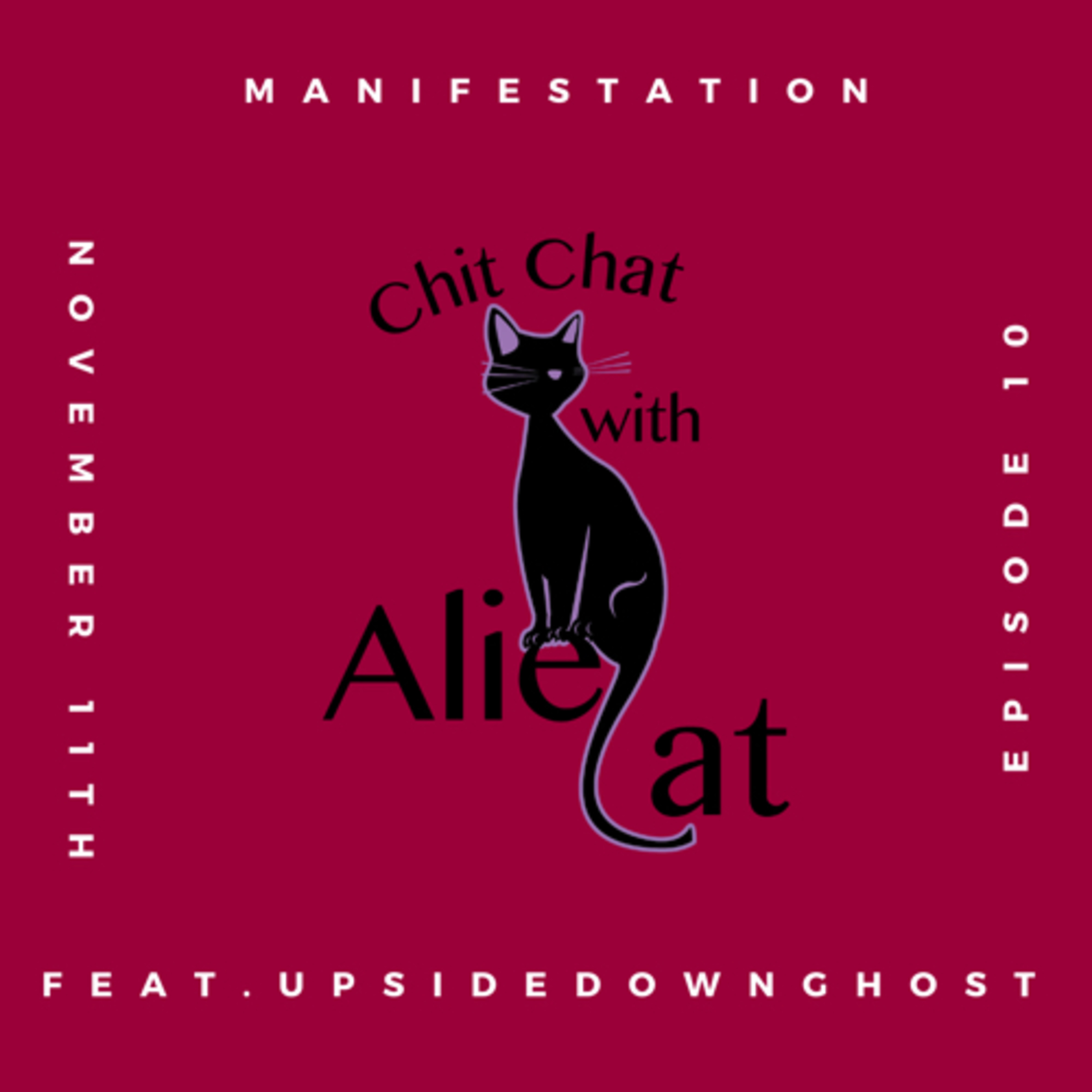 Chitchat with Aliecat
