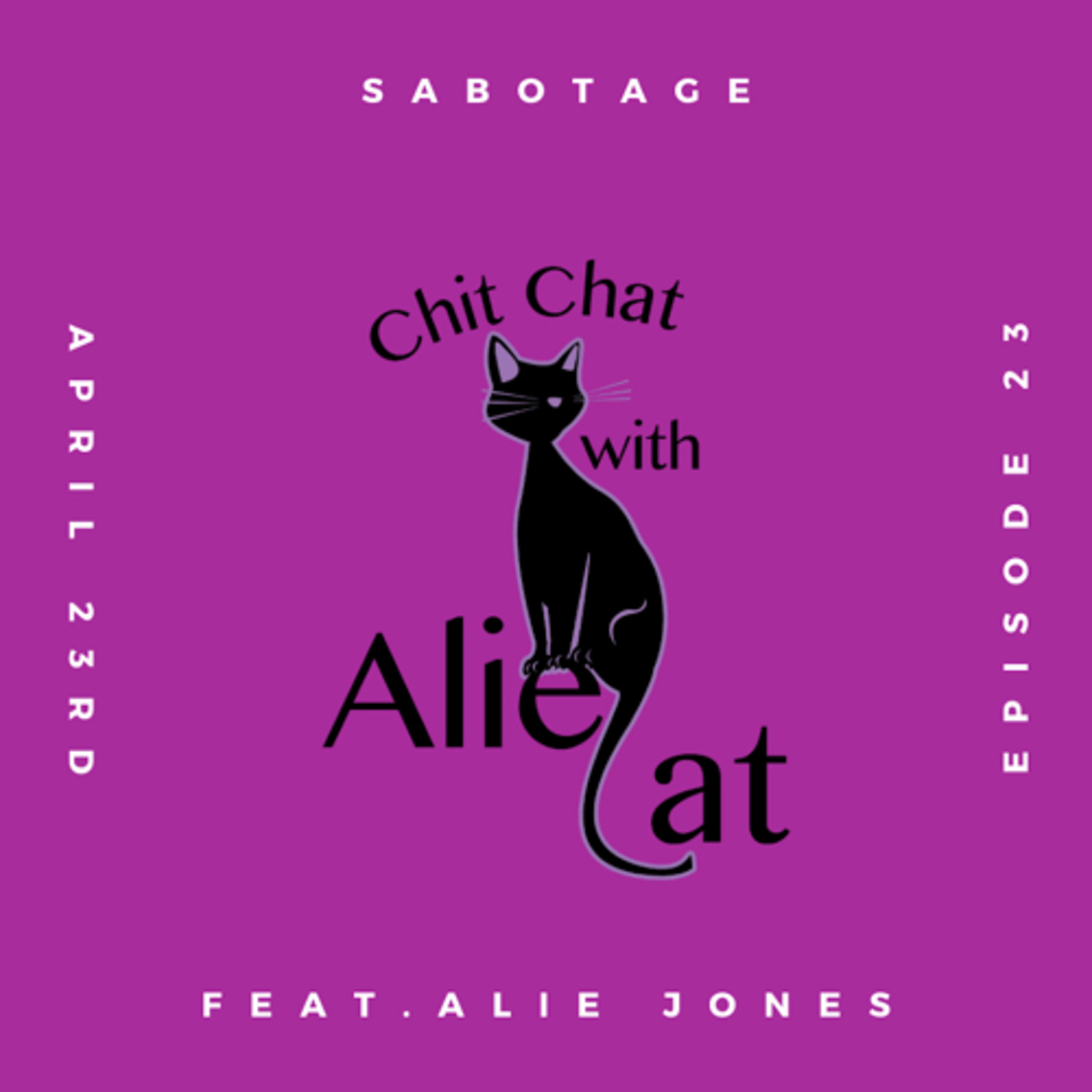 Chitchat with Aliecat