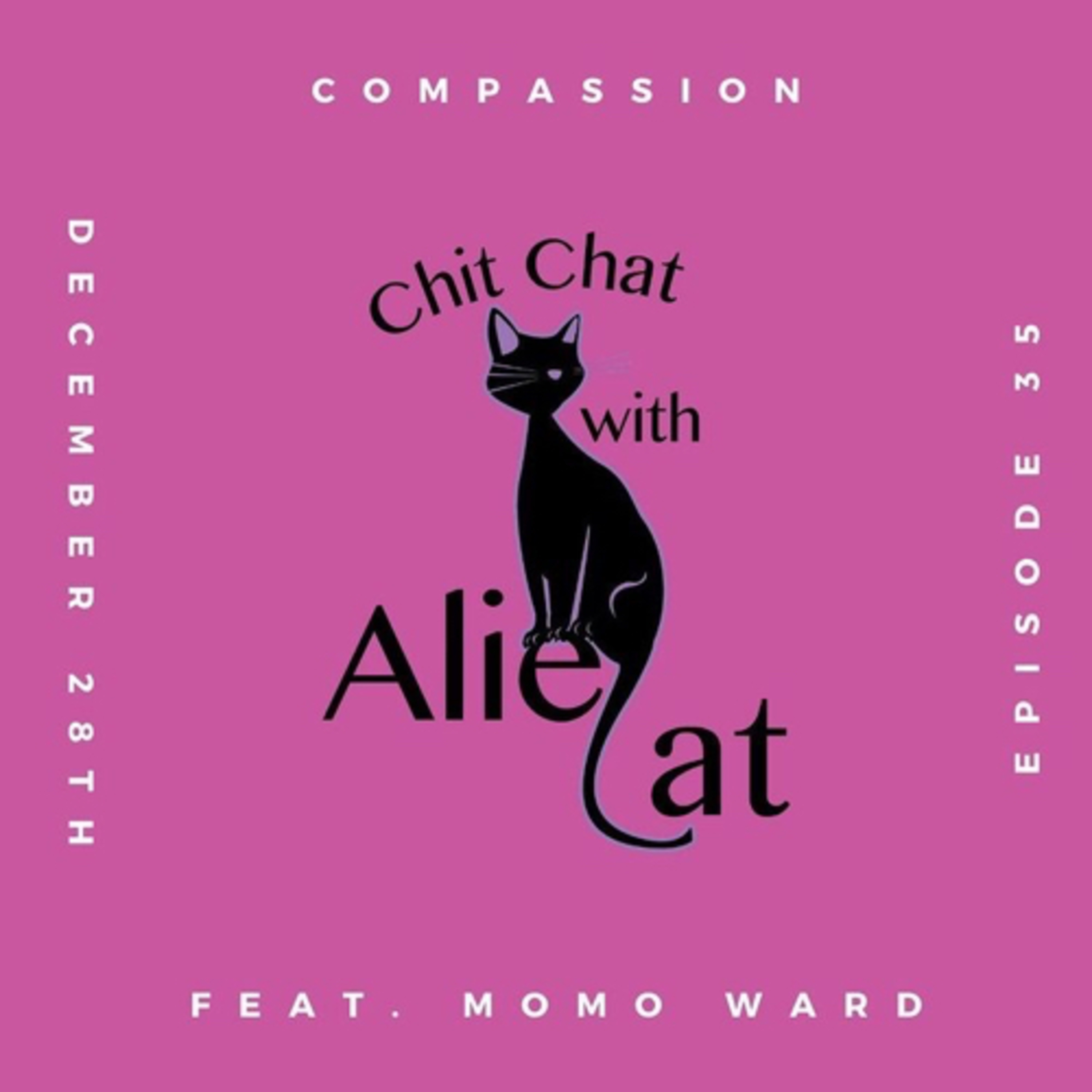 Chitchat with Aliecat