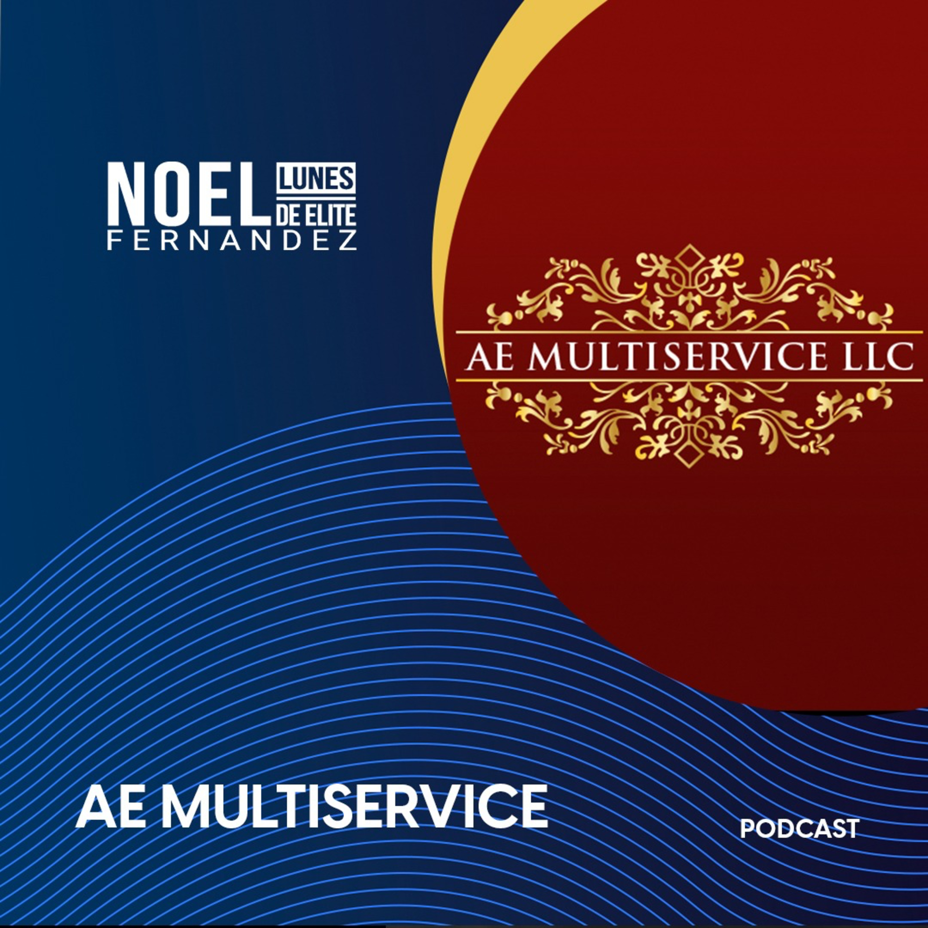 LA HISTORIA DE AE MULTISERVICE episode artwork