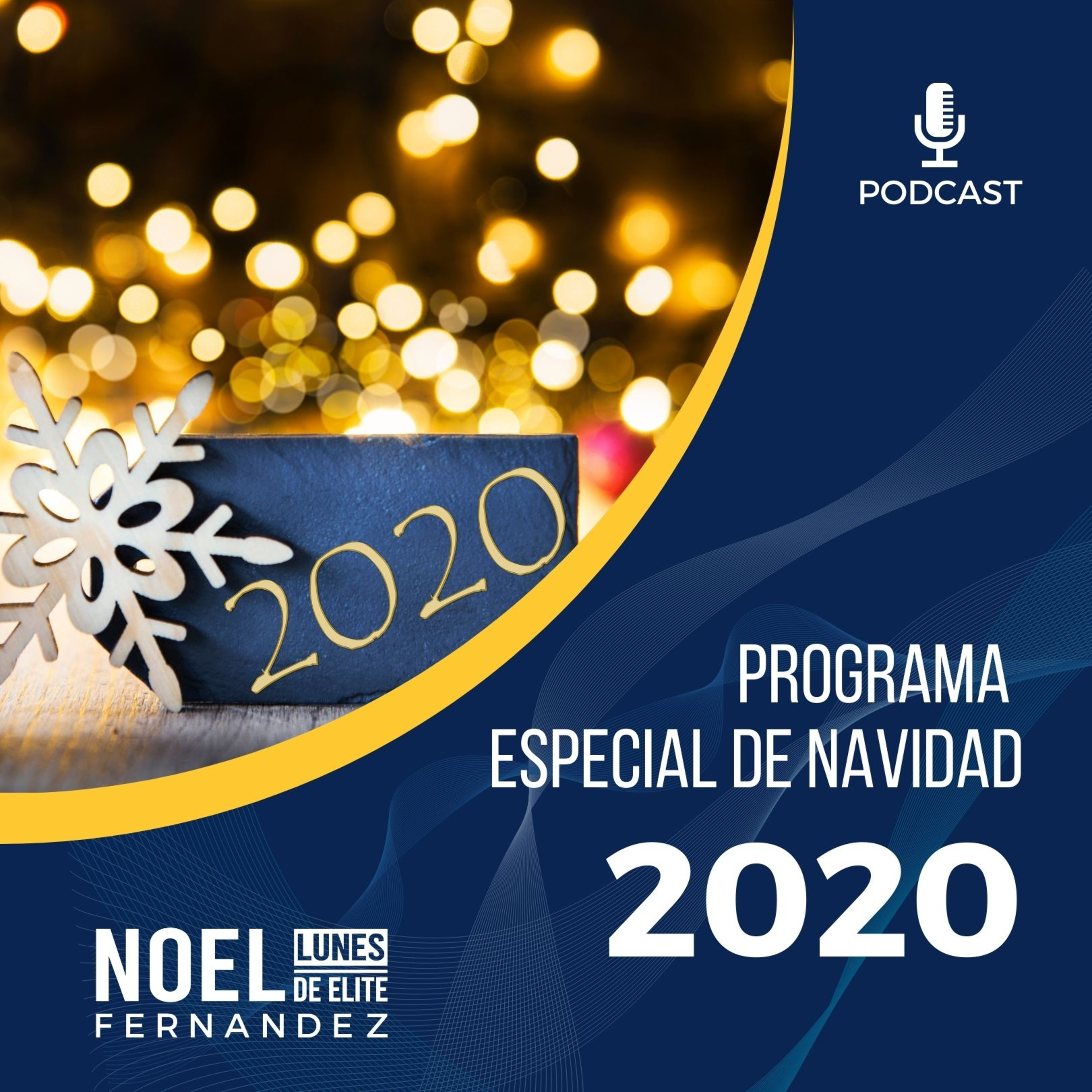 PROGRAMA ESPECIAL DE NAVIDAD 2020 episode artwork