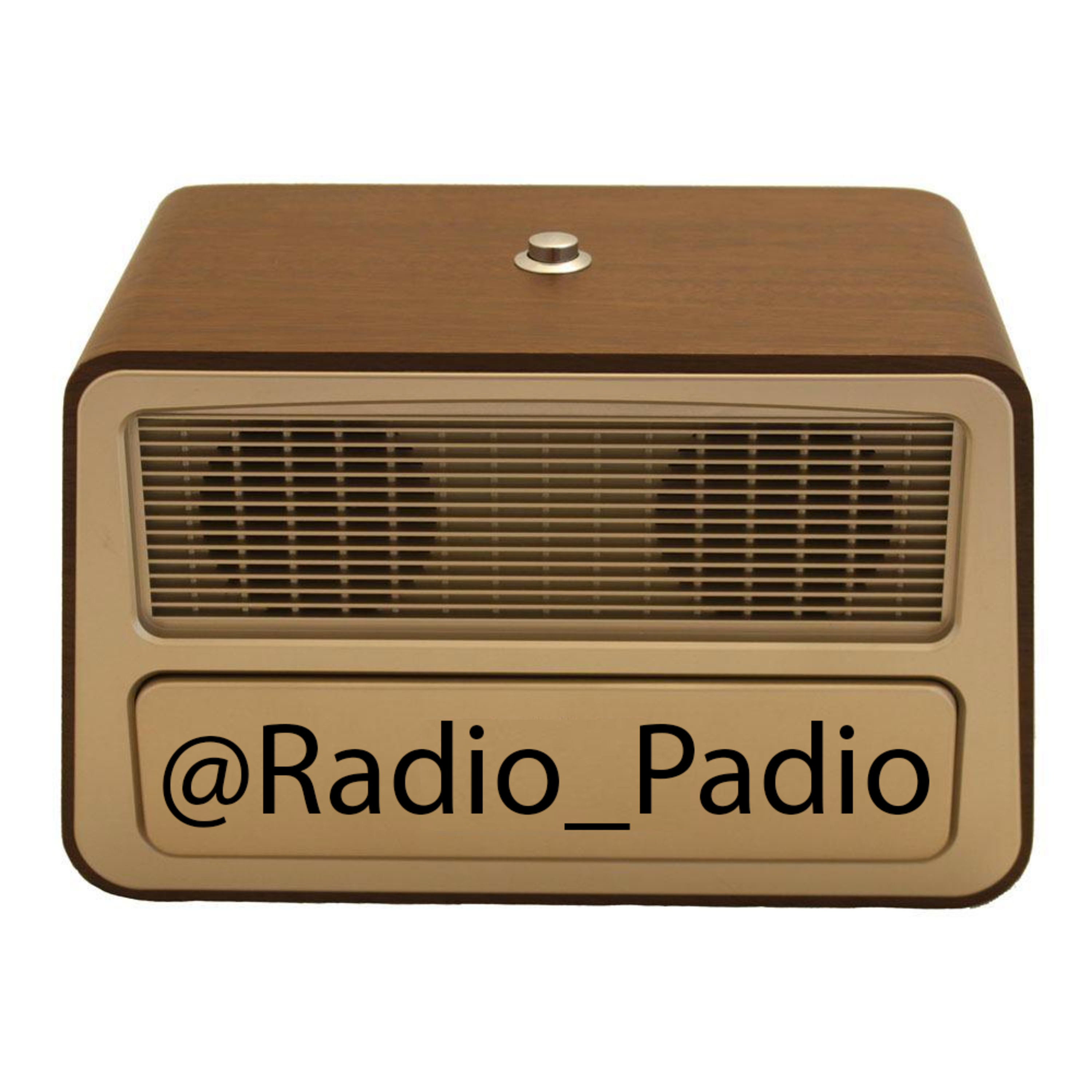کاور Radio_Padio-98.05.15