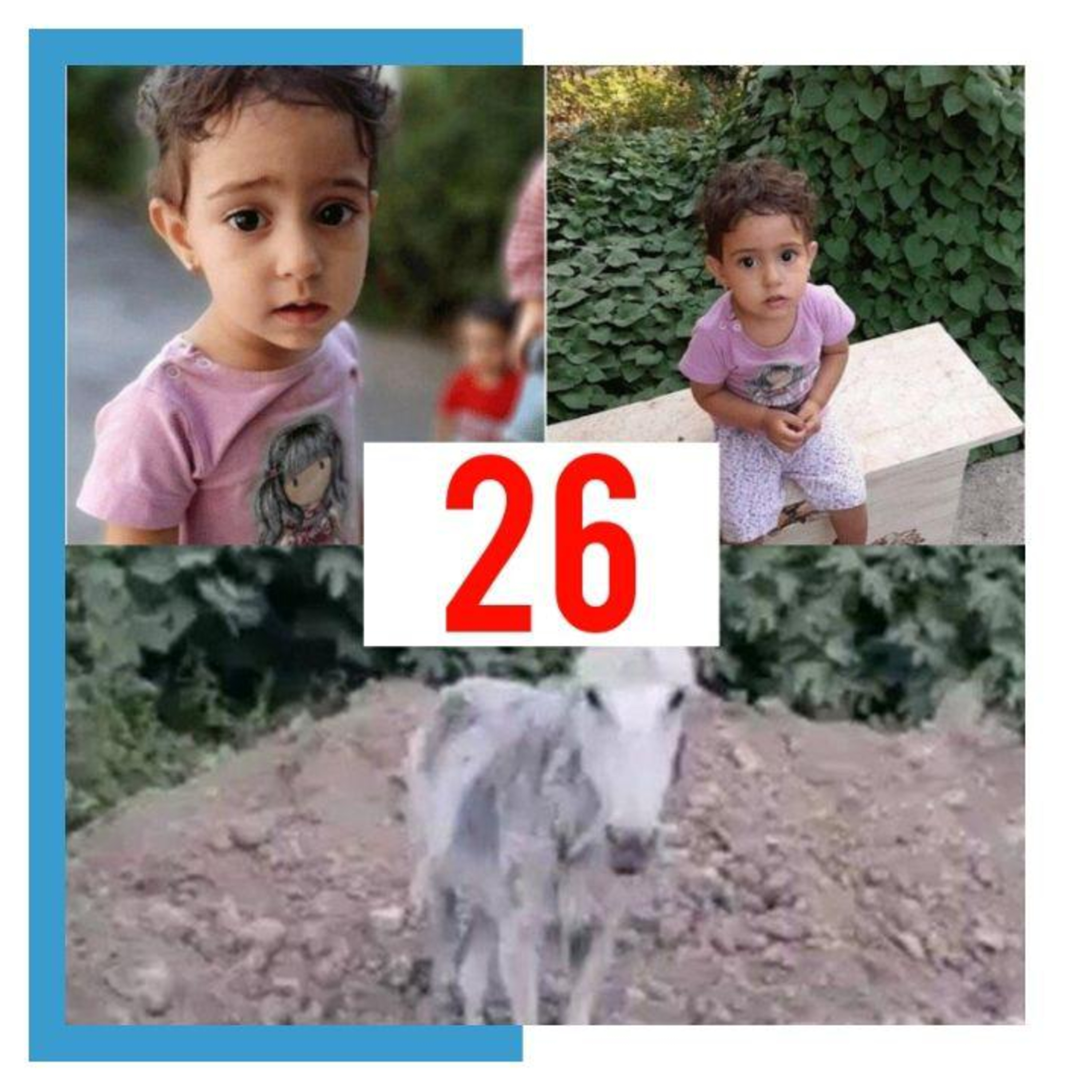 کاور Padio 26 - 98.07.01
