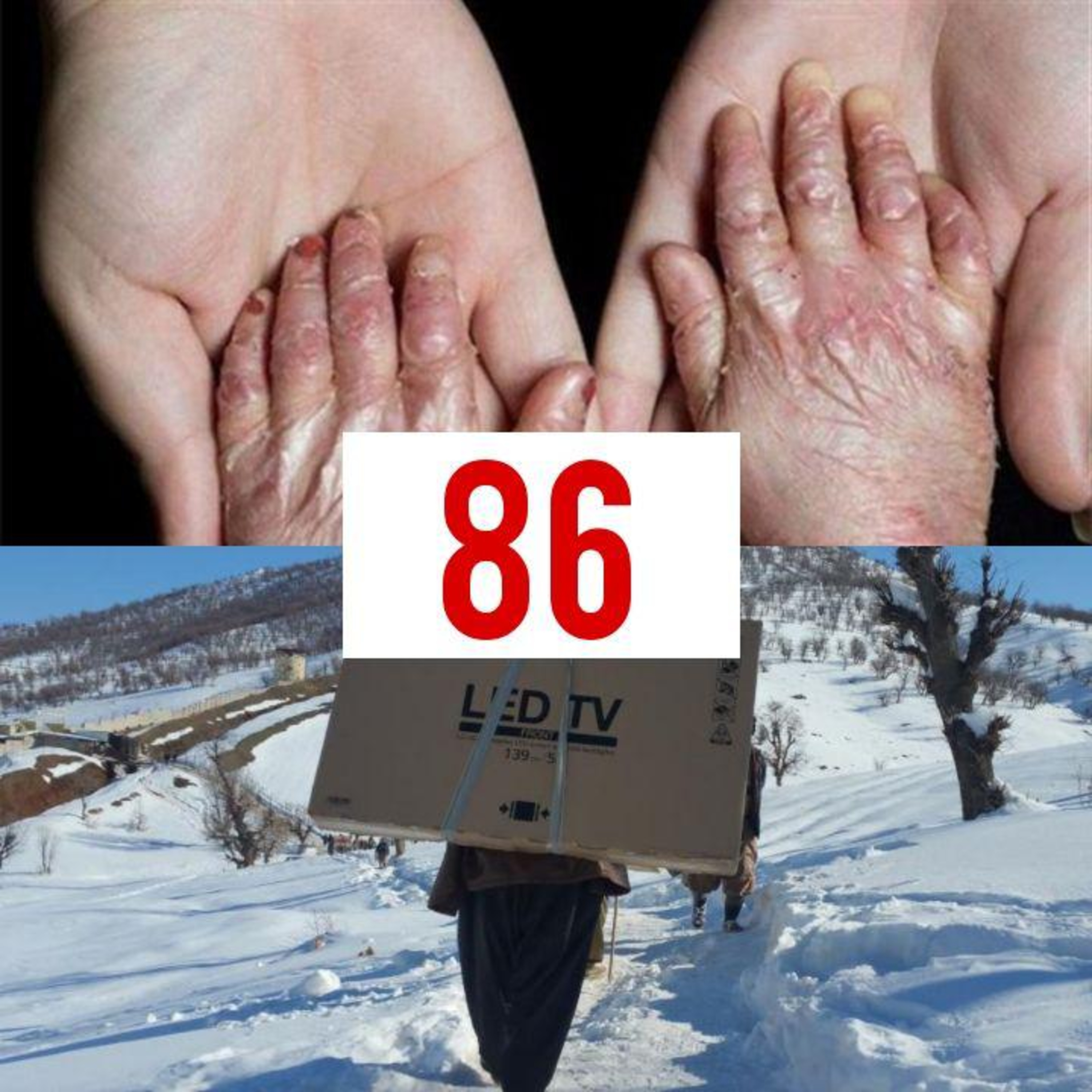کاور Padio 86 - 98.10.01