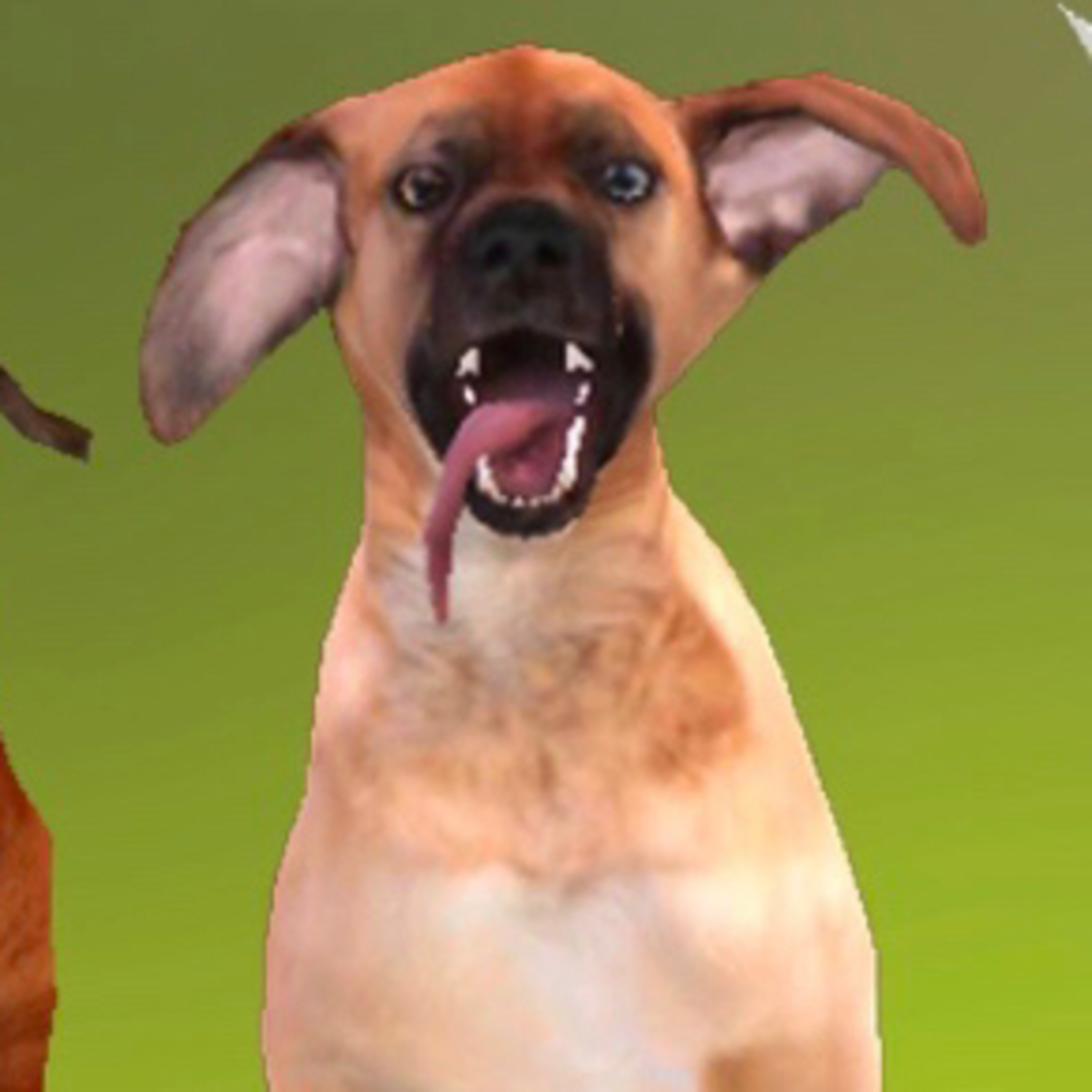 Dog sim tips-hacks episode artwork