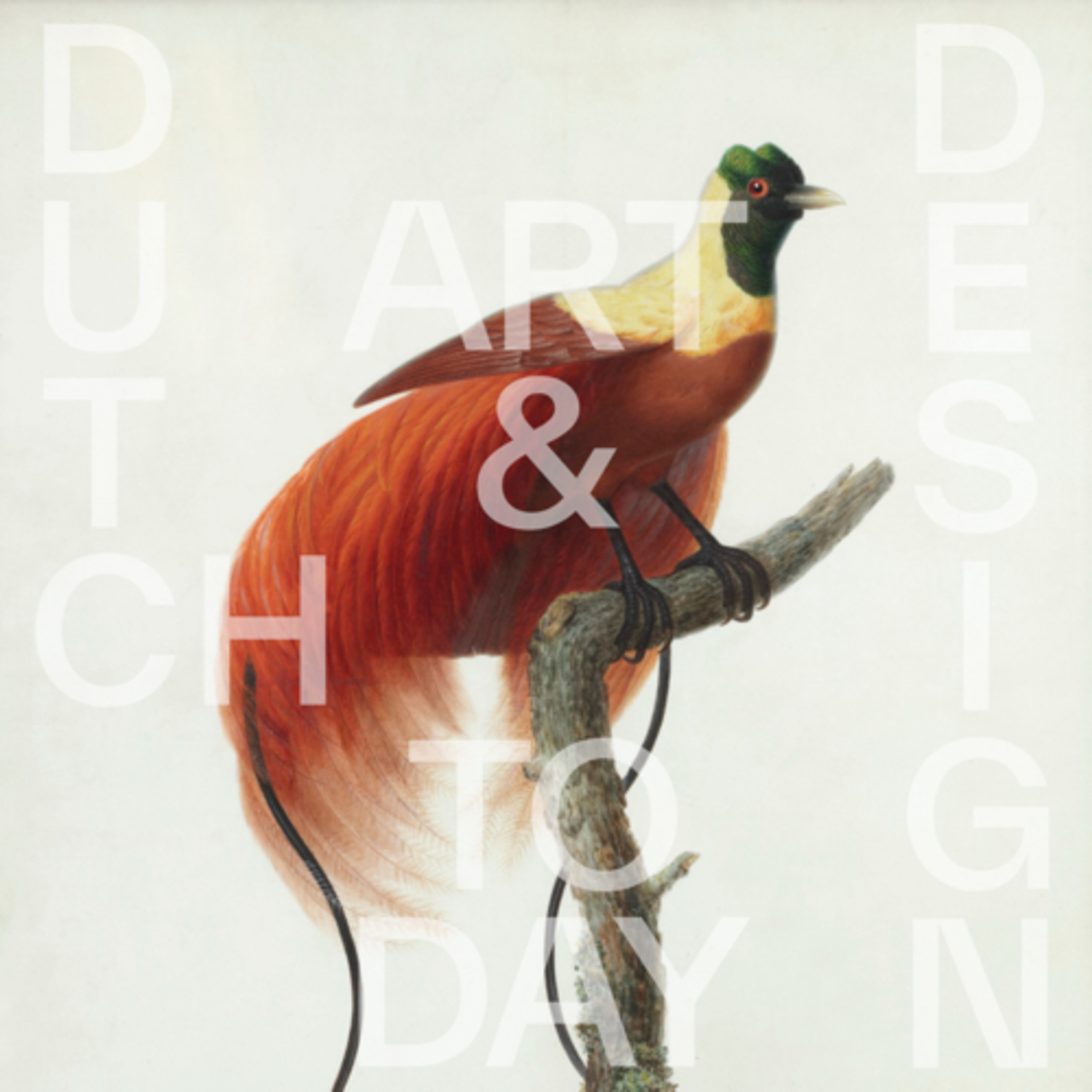 Dutch Art & Design Today