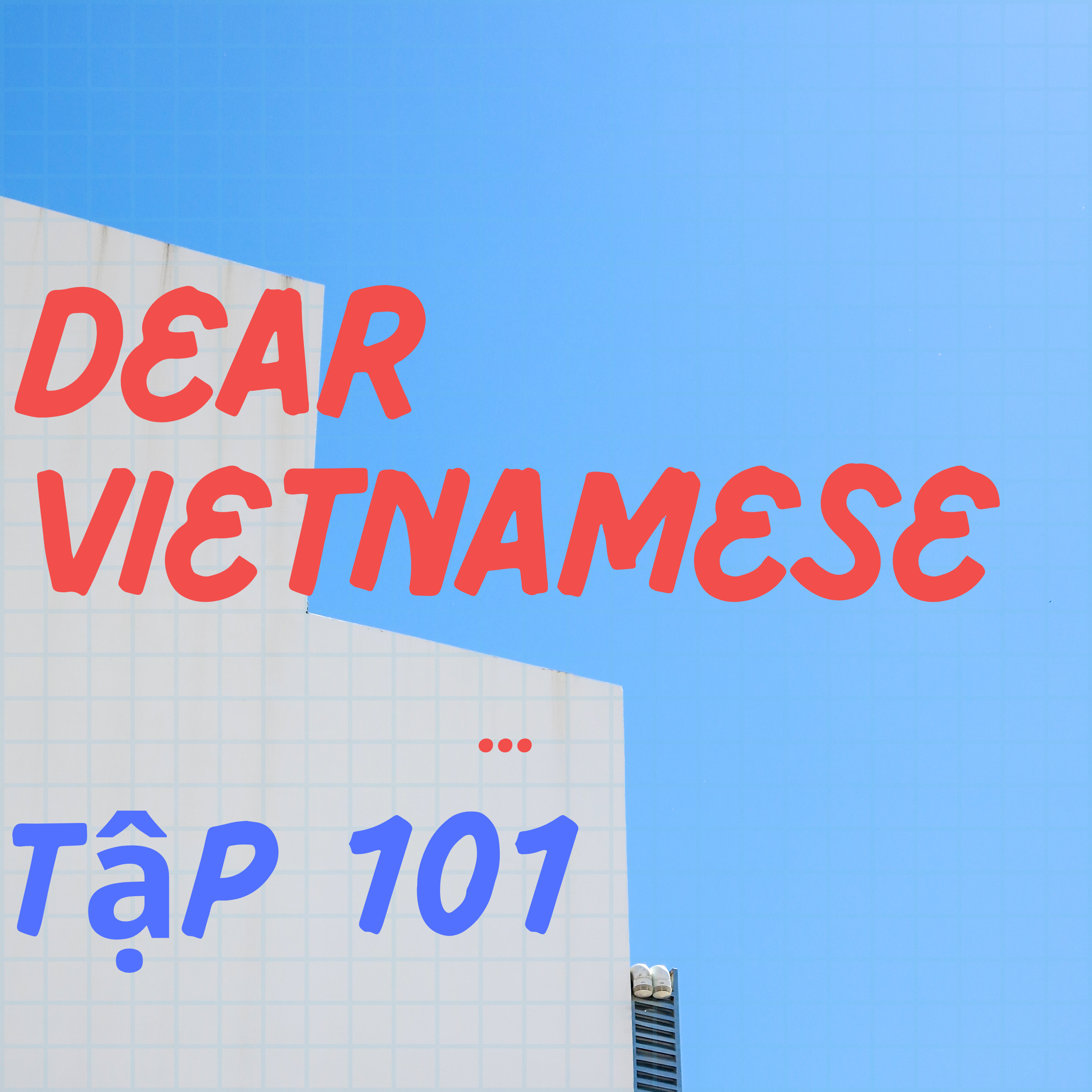 Dear Vietnamese