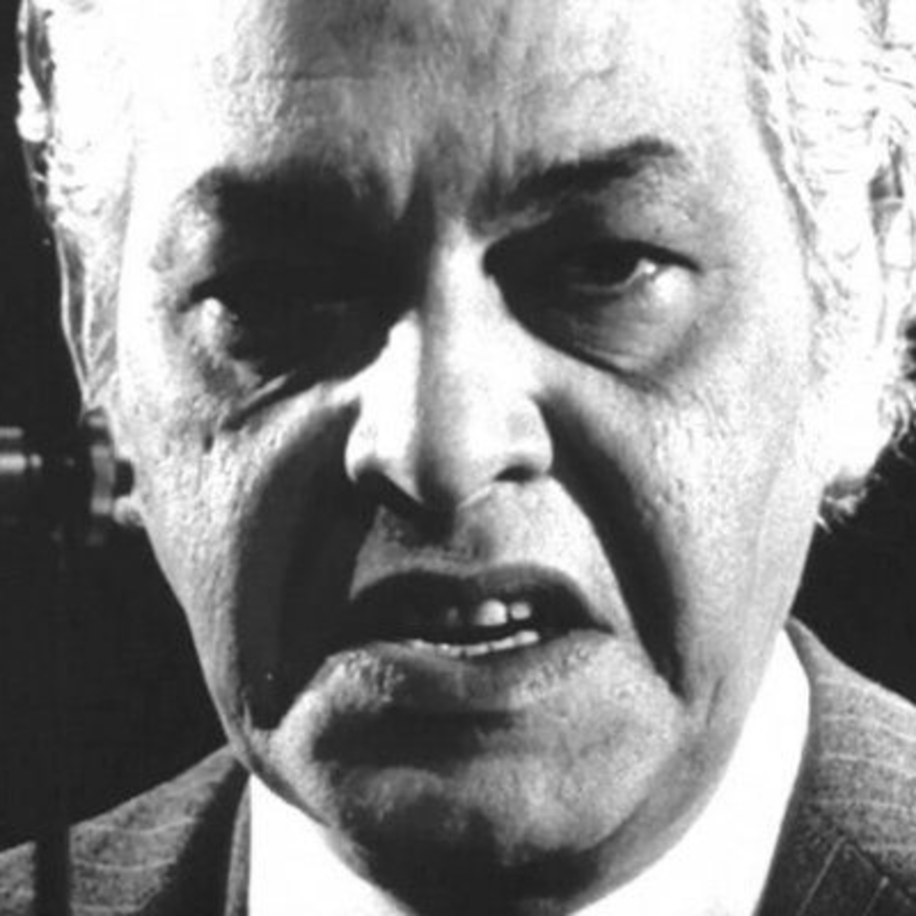 Cine Festivais