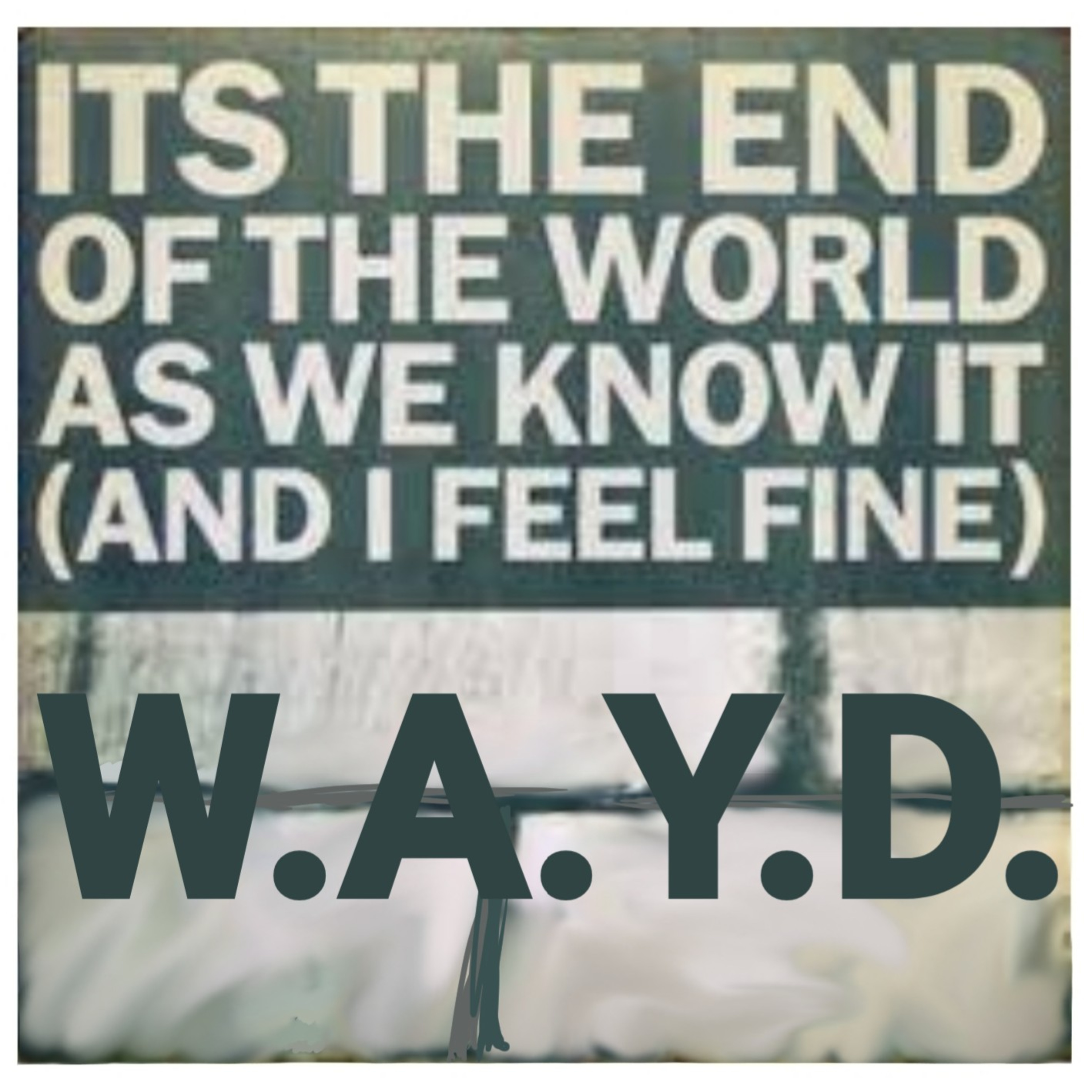 WAYD The Elephant