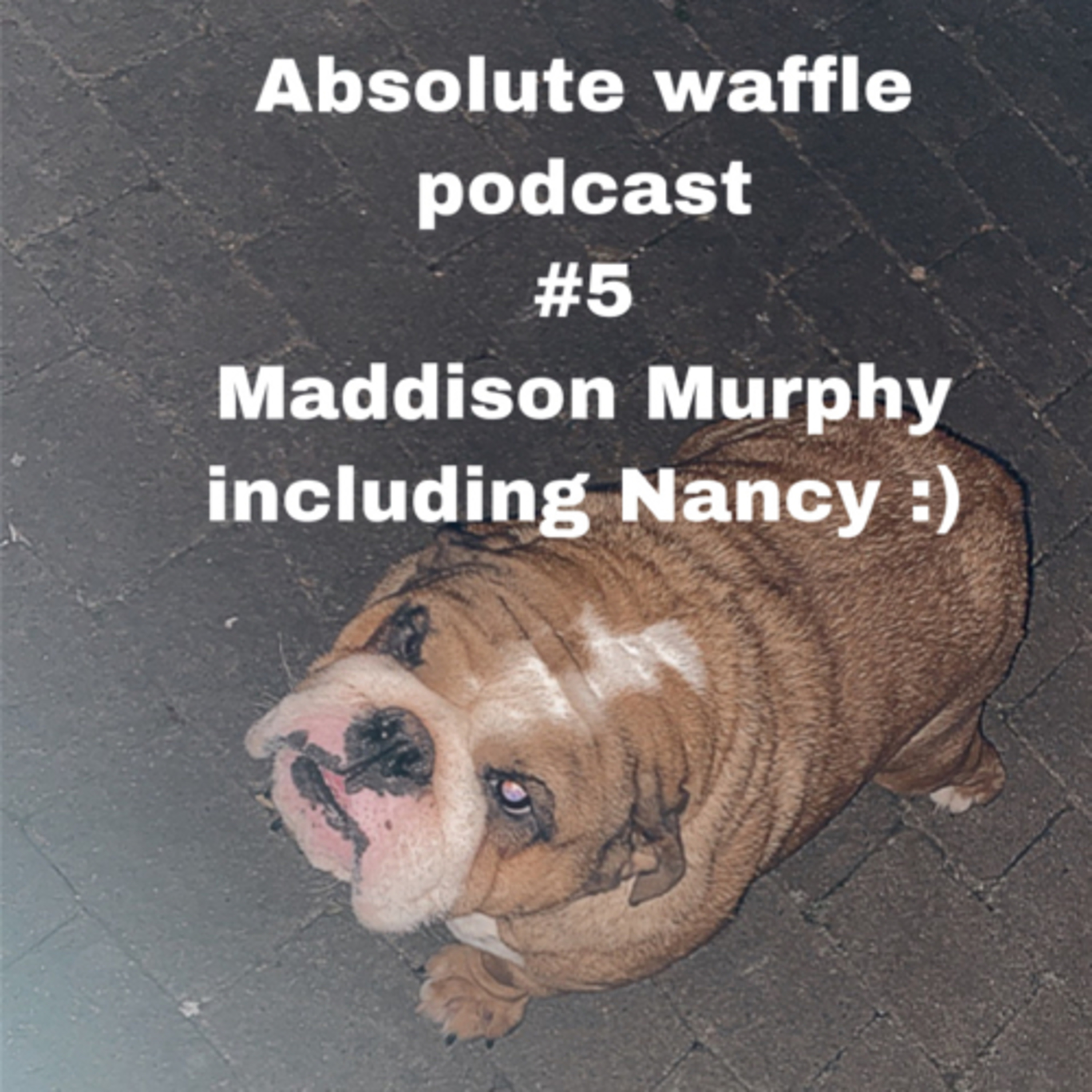 Absolute Waffle Podcast