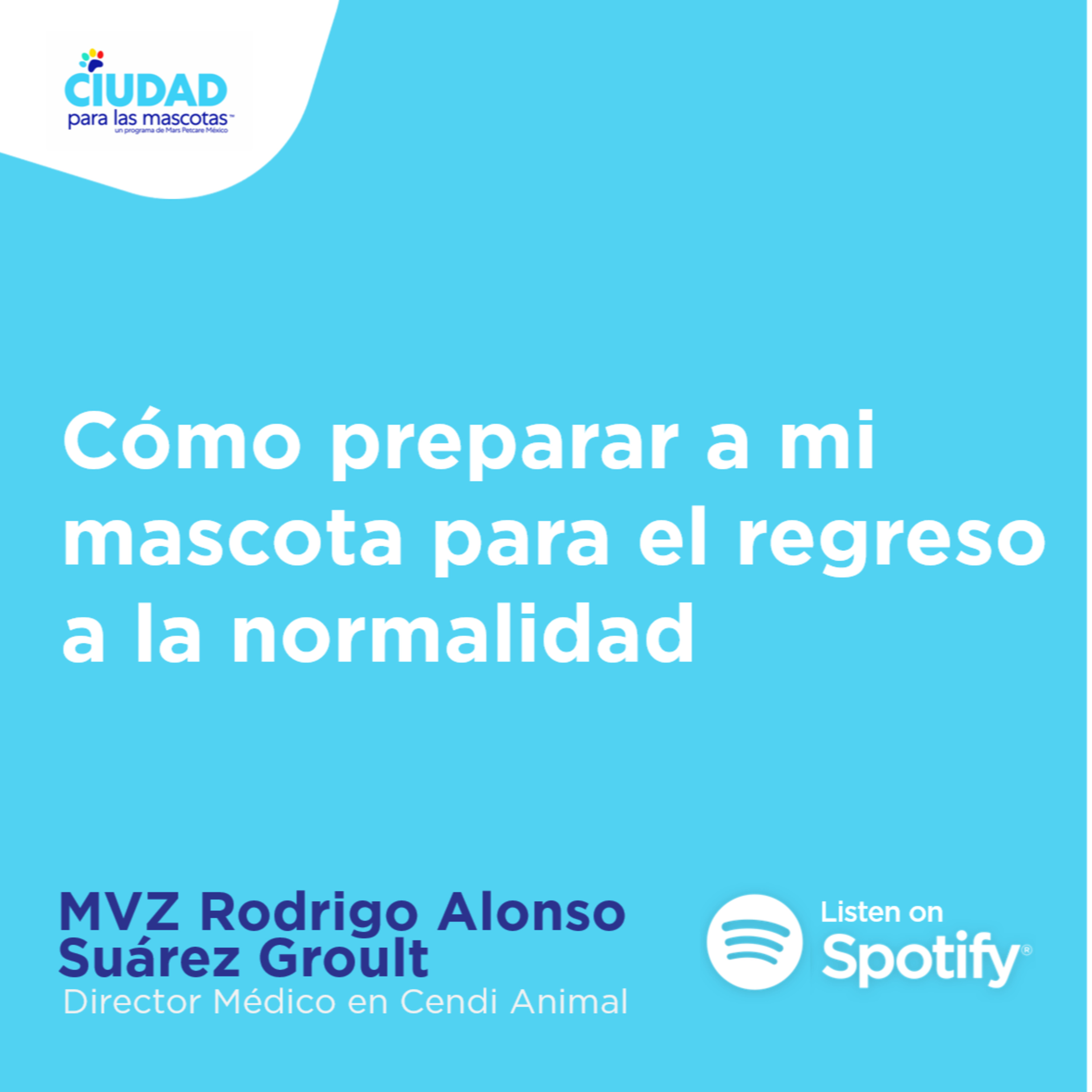Ciudad para las mascotas