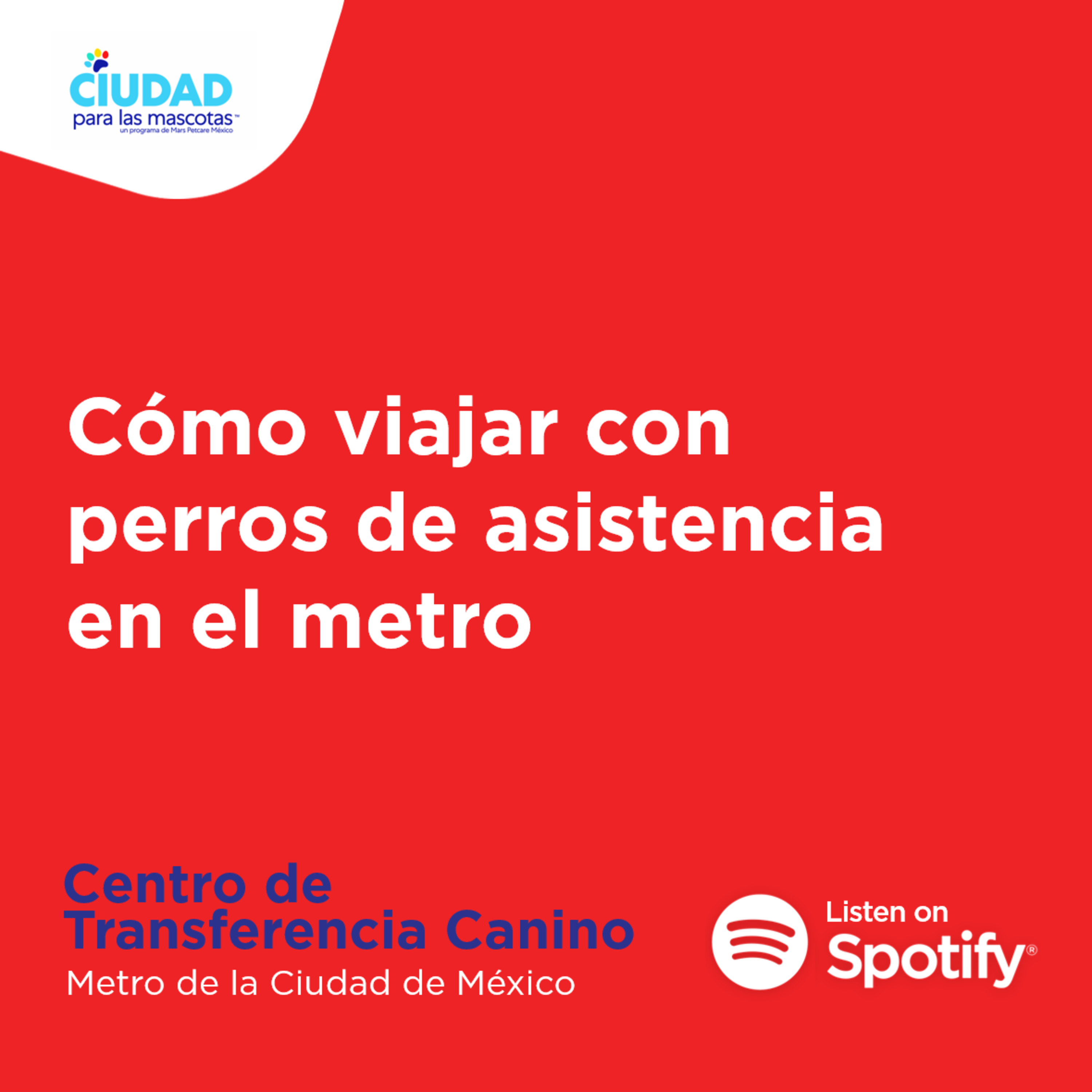 Ciudad para las mascotas