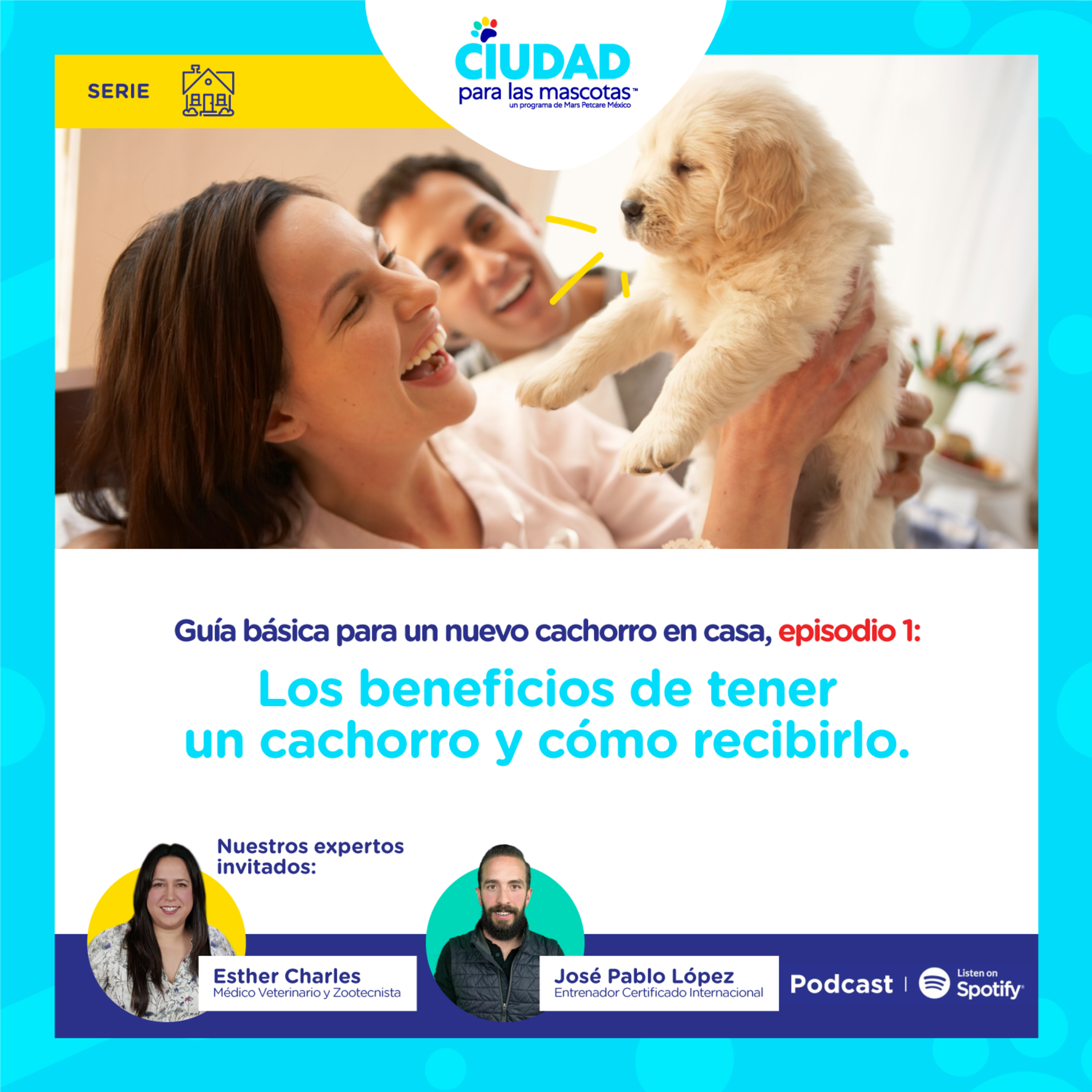 Guía básica para un nuevo cachorro en casa / Ep. 1: Los beneficios de tener un cachorro y cómo recibirlo