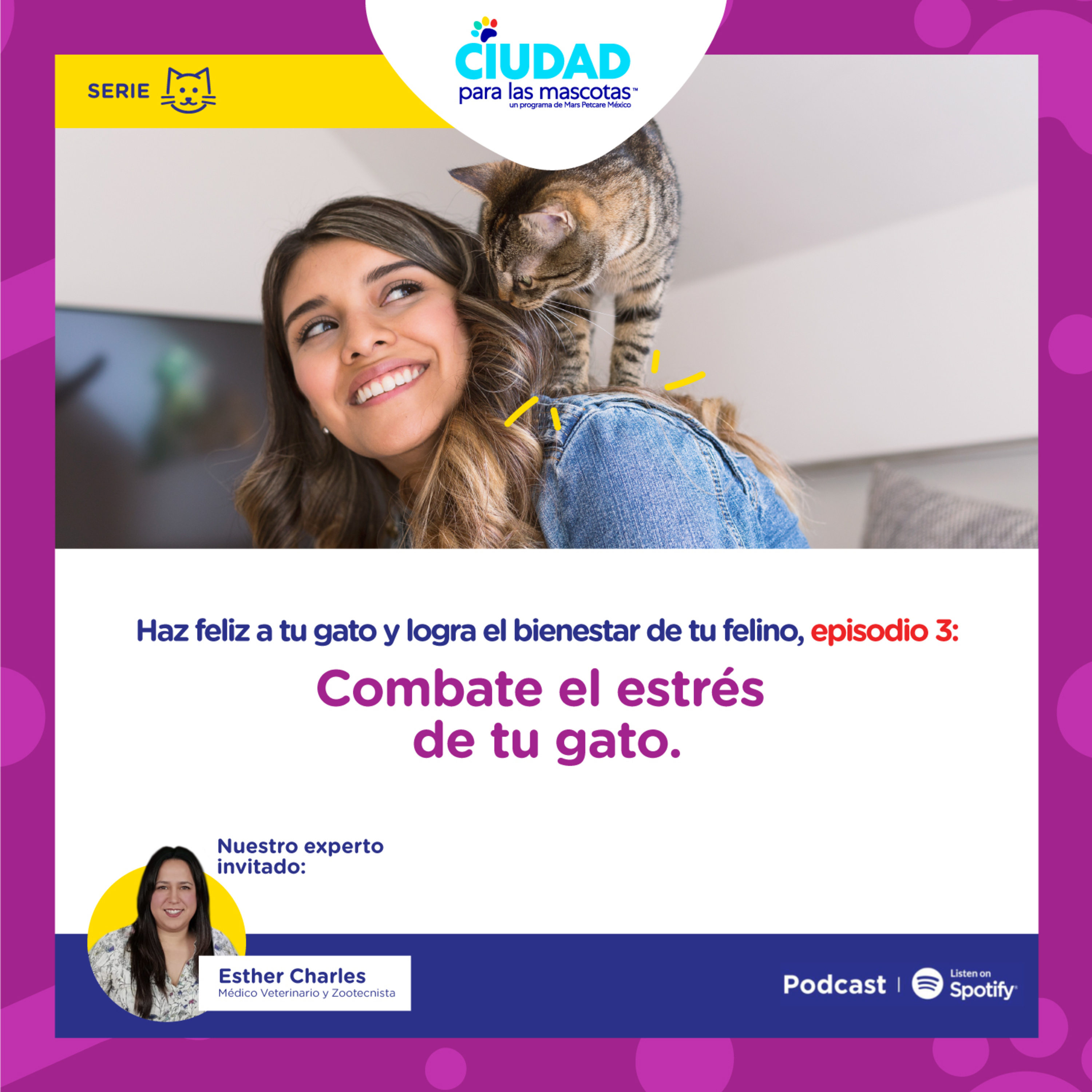 Haz feliz a tu gato. Ep 3: Combate el estrés de tu gato