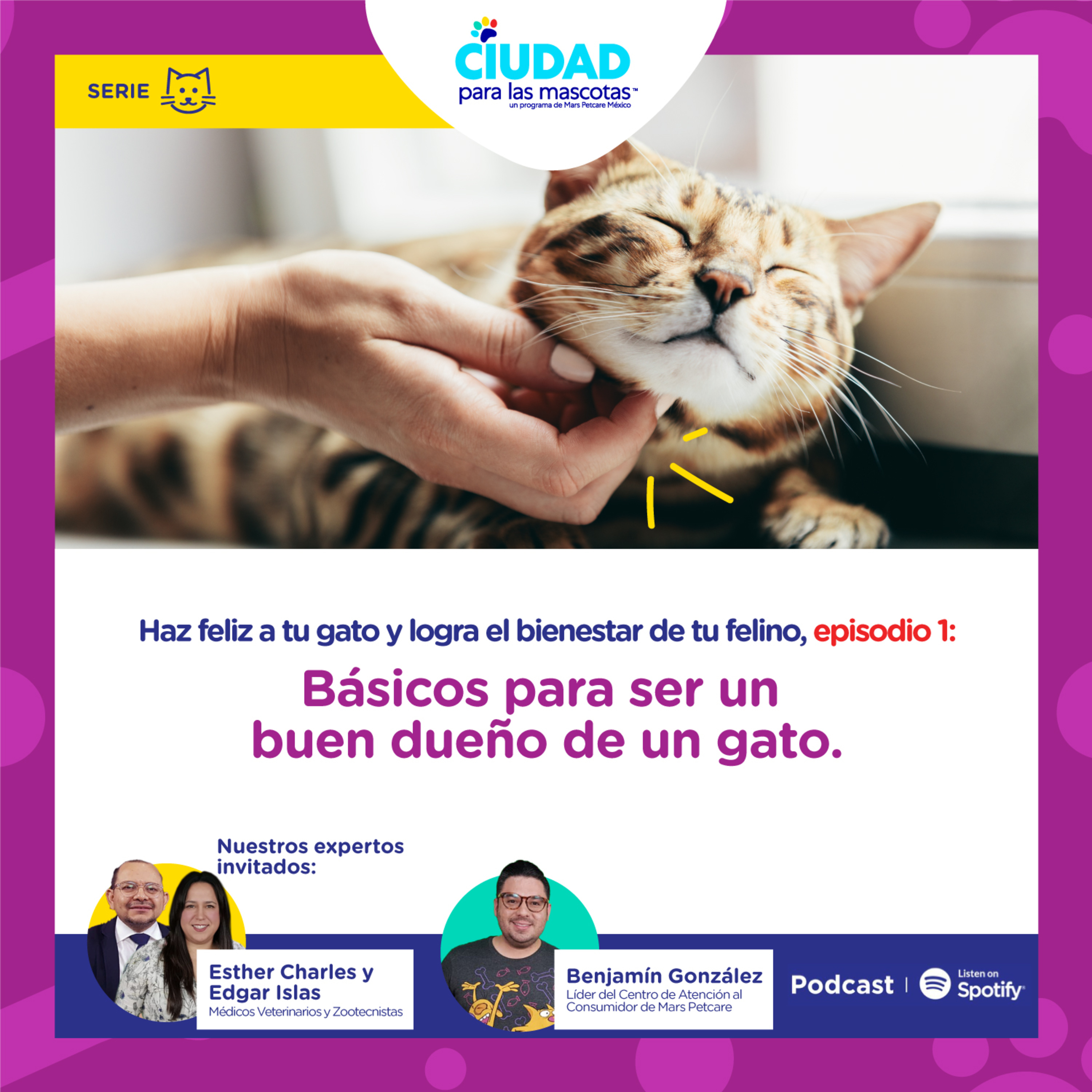 Haz feliz a tu gato. Ep 1: Básicos para ser un buen dueño de un gato