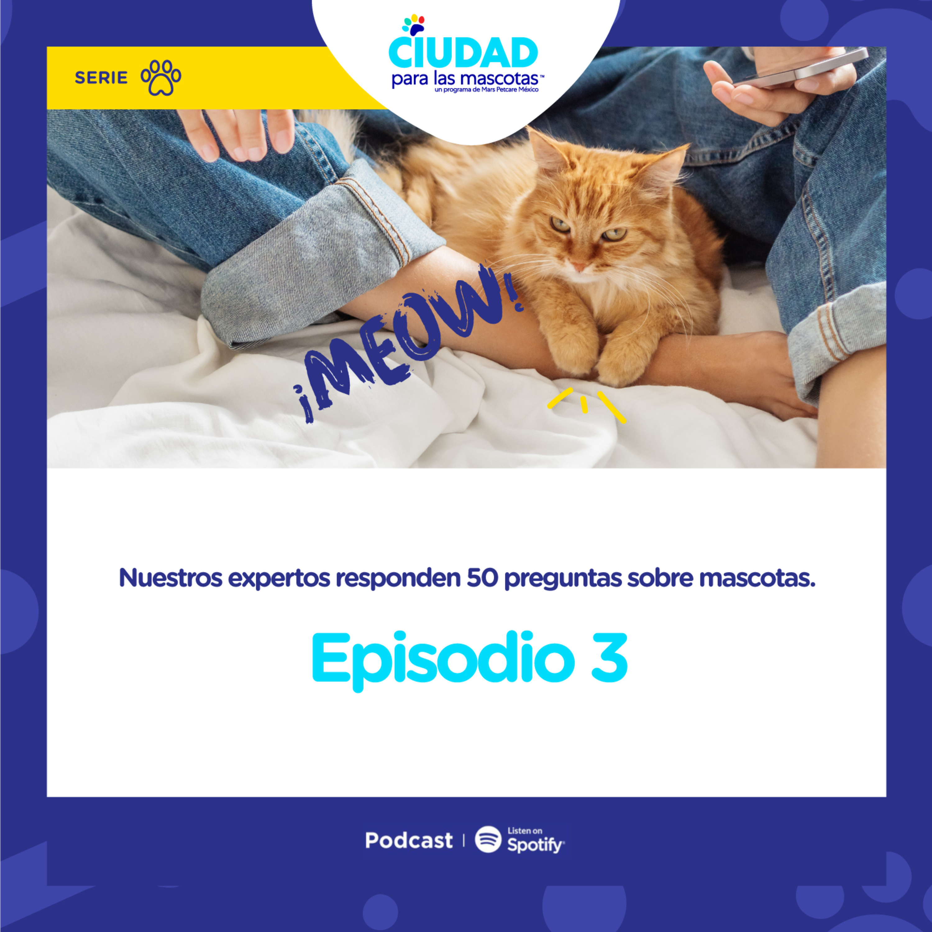 Nuestros expertos responden 50 preguntas sobre mascotas - Ep. 3