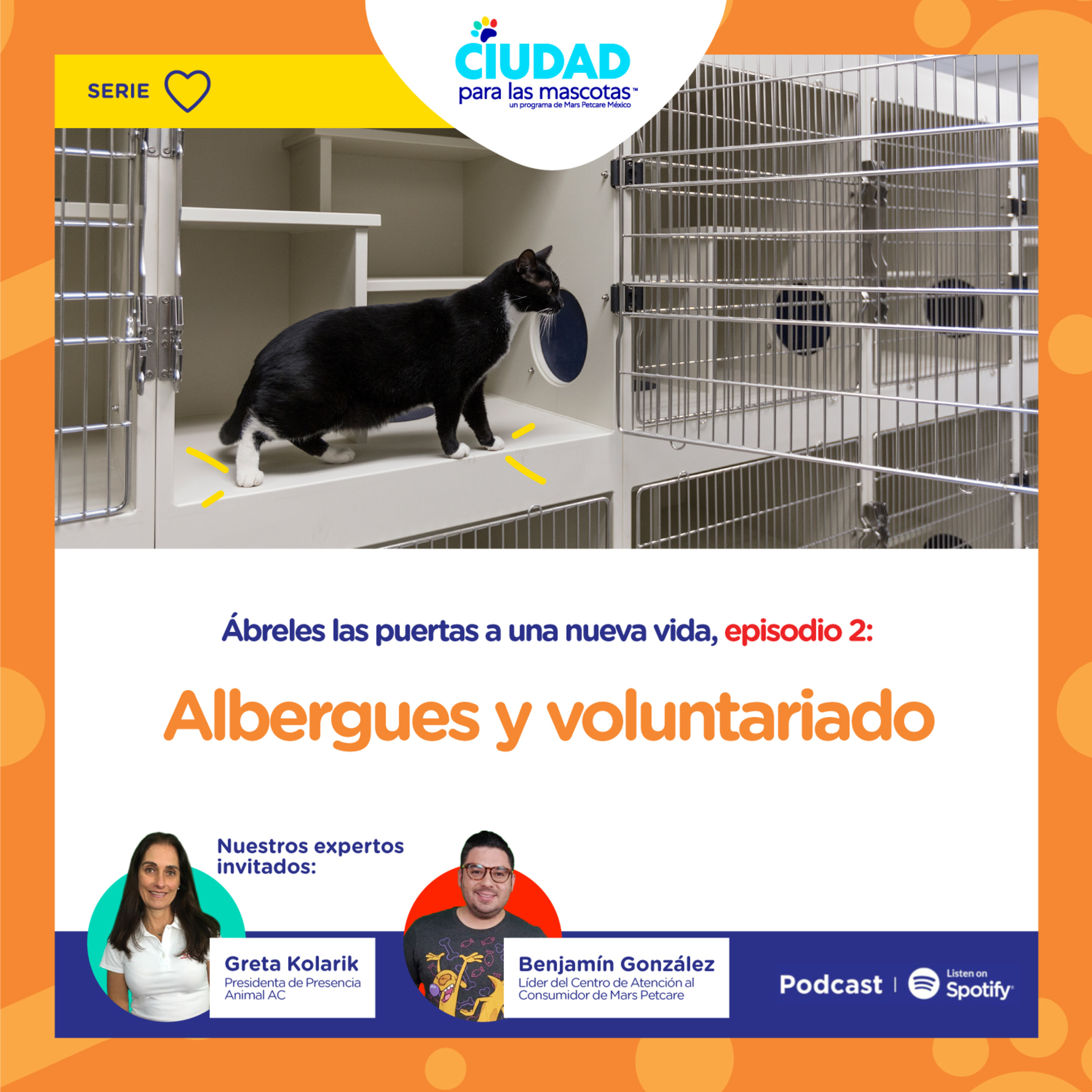 Ábreles las puertas a una nueva vida Ep. 2 Albergues y volutariado