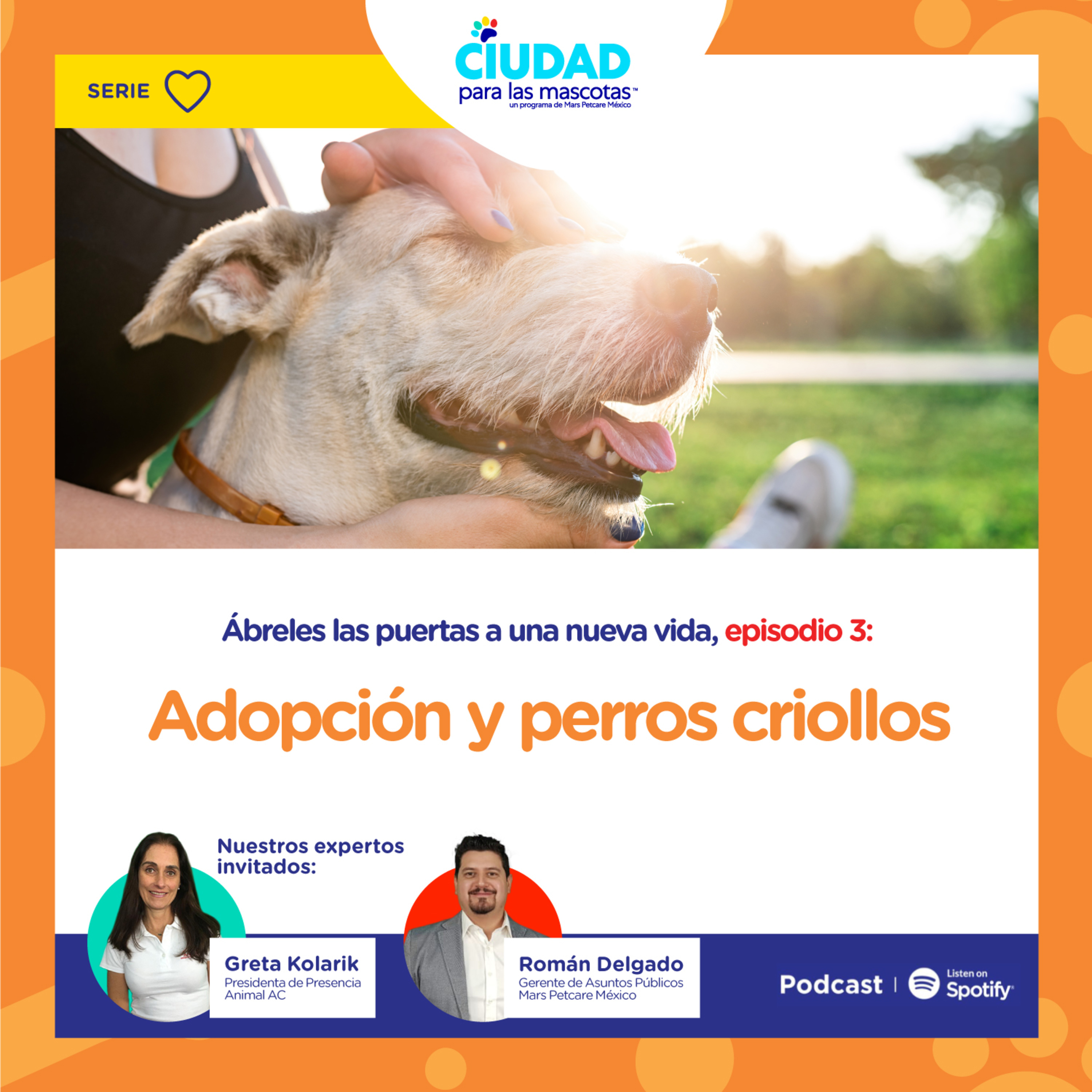 Ábreles las puertas a una nueva vida Ep. 3 Adopción y perros criollos
