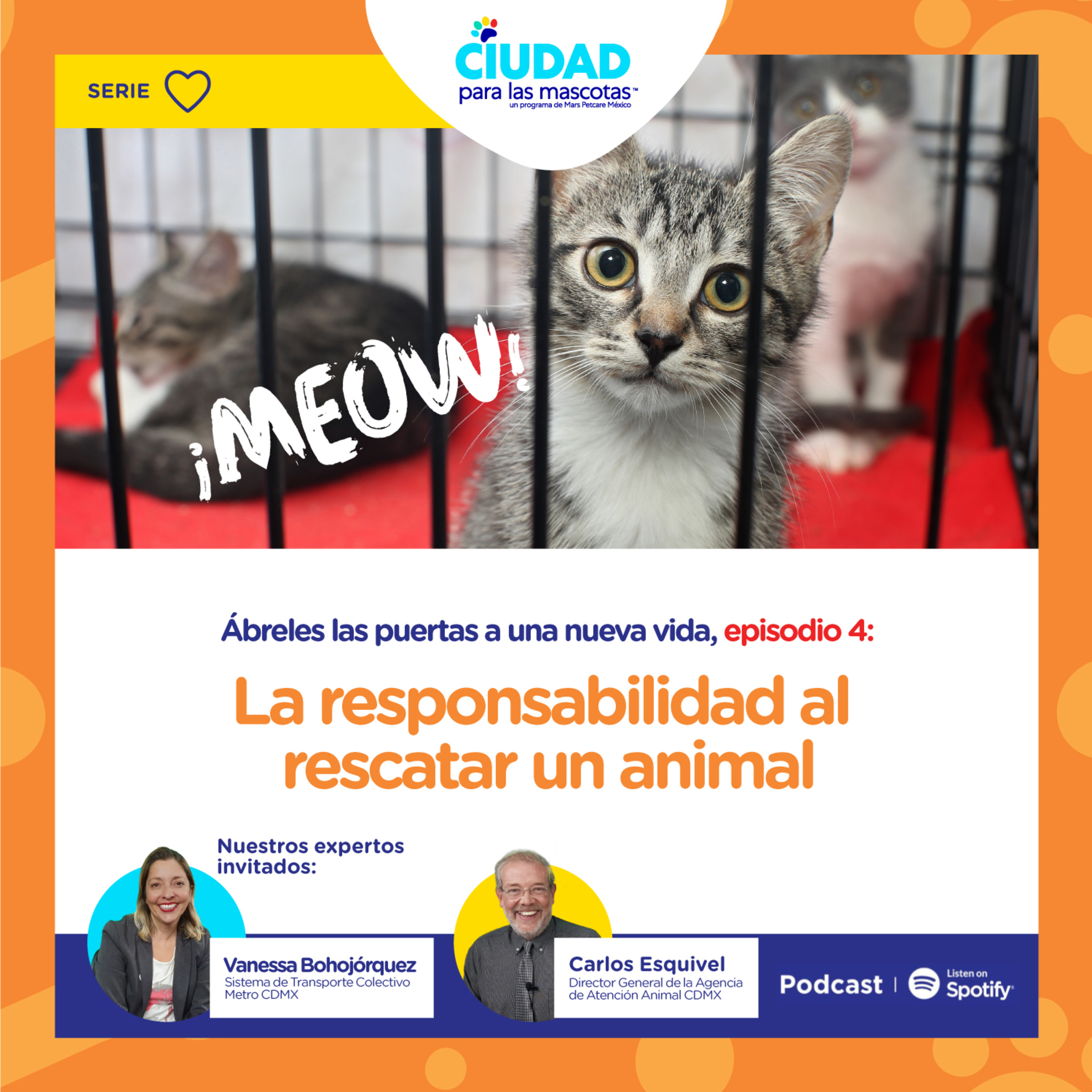 Ábreles las puertas a una nueva vida Ep. 4 La responsabilidad al rescatar un animal