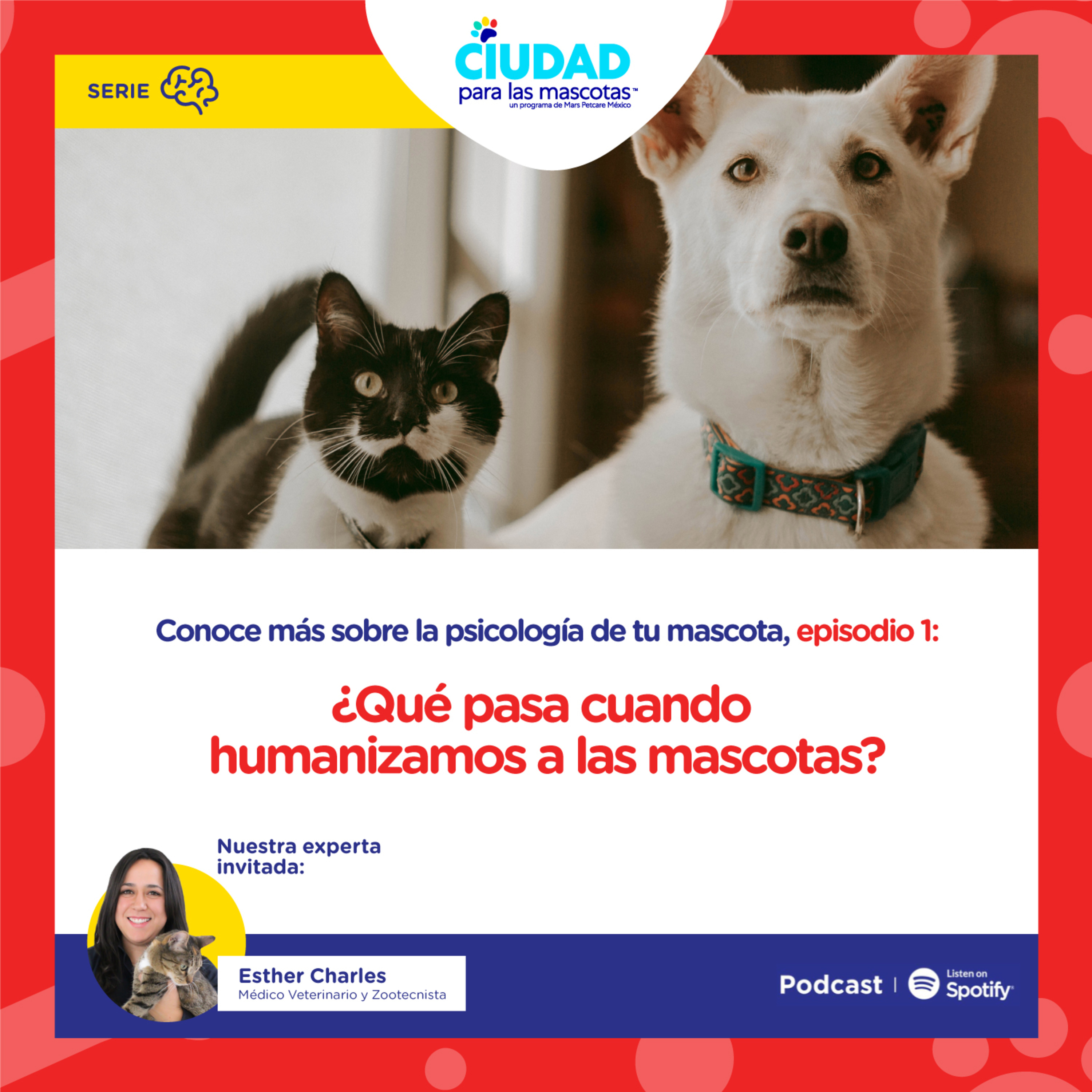Conoce más sobre la psicología de tu mascota | Ep 1: ¿Qué pasa cuando humanizamos a las mascotas?