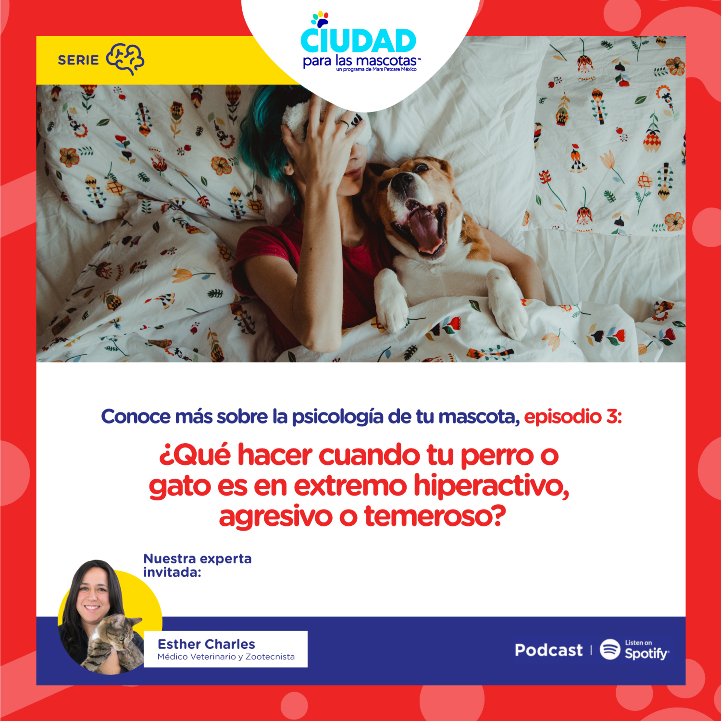 Conoce más sobre la psicología de tu mascota | Ep 3: Qué hacer cuando tu perro o gato es en extremo hiperactivo, agresivo o temeroso