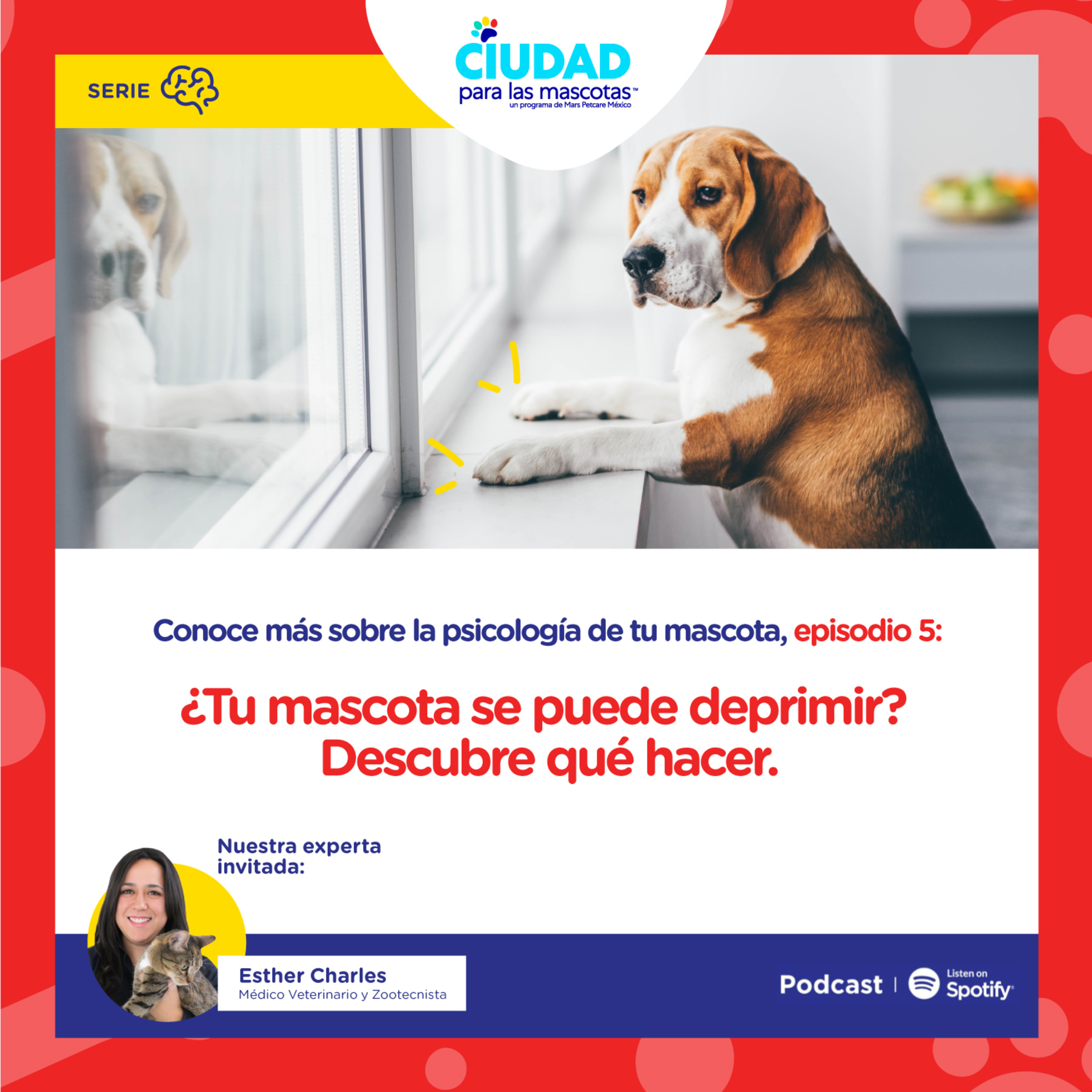 Conoce más sobre la psicología de tu mascota | Ep 5: ¿Tu mascota se puede deprimir? Descubre qué hacer