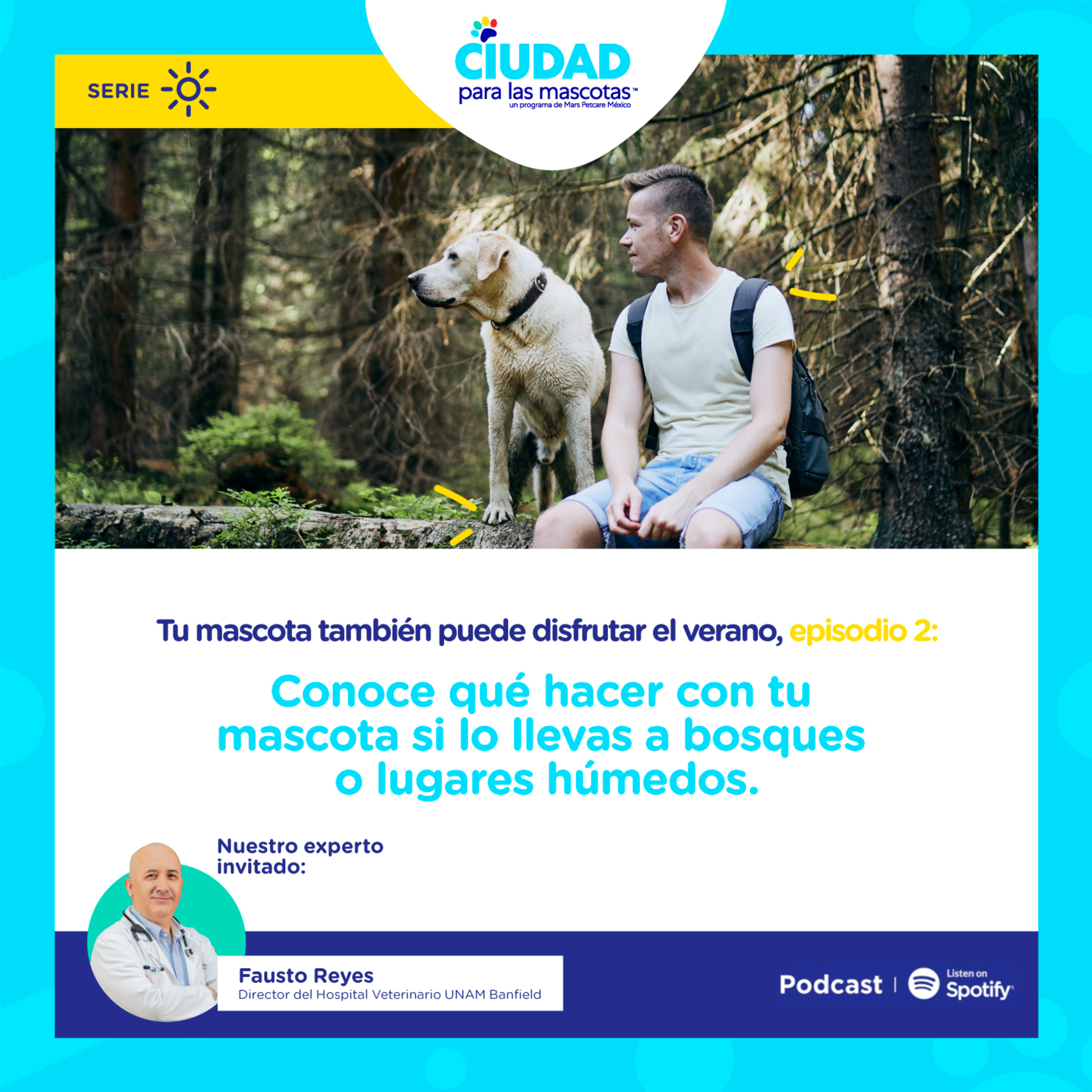 Tu mascota también puede disfrutar el verano - Ep. 2 Conoce qué hacer con tu mascota si lo llevas a bosques o lugares húmedos
