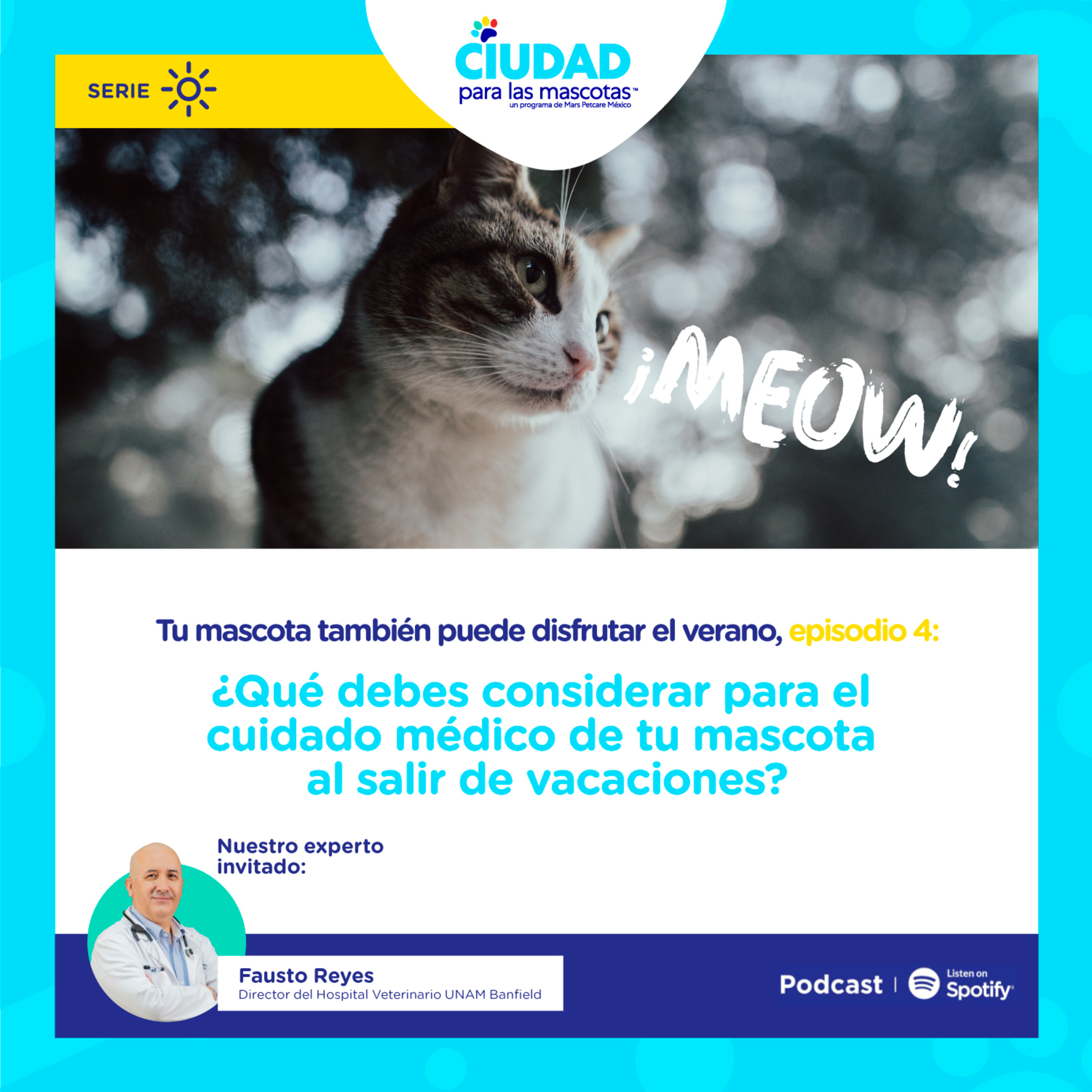 Tu mascota también puede disfrutar el verano - Ep. 4: ¿Qué debes considerar para el cuidado médico de tu mascota al salir de vacaciones?