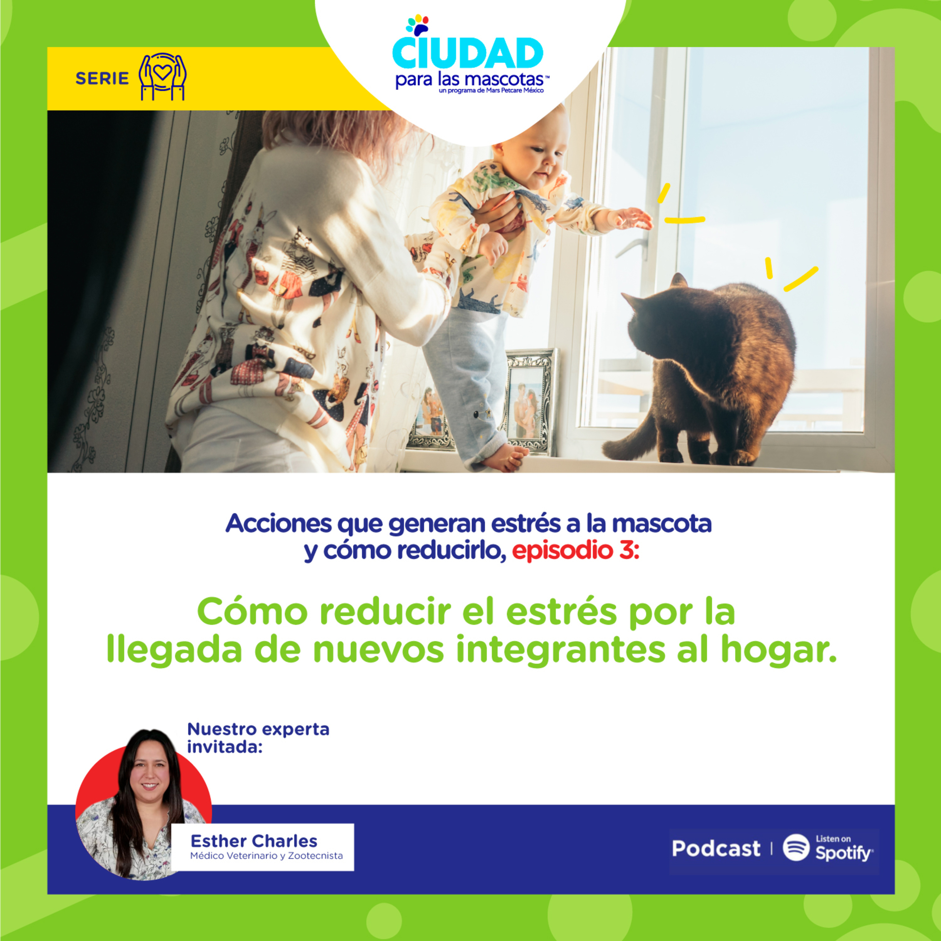 ¿Cómo reducir el estrés por la llegada de nuevos integrantes al hogar?