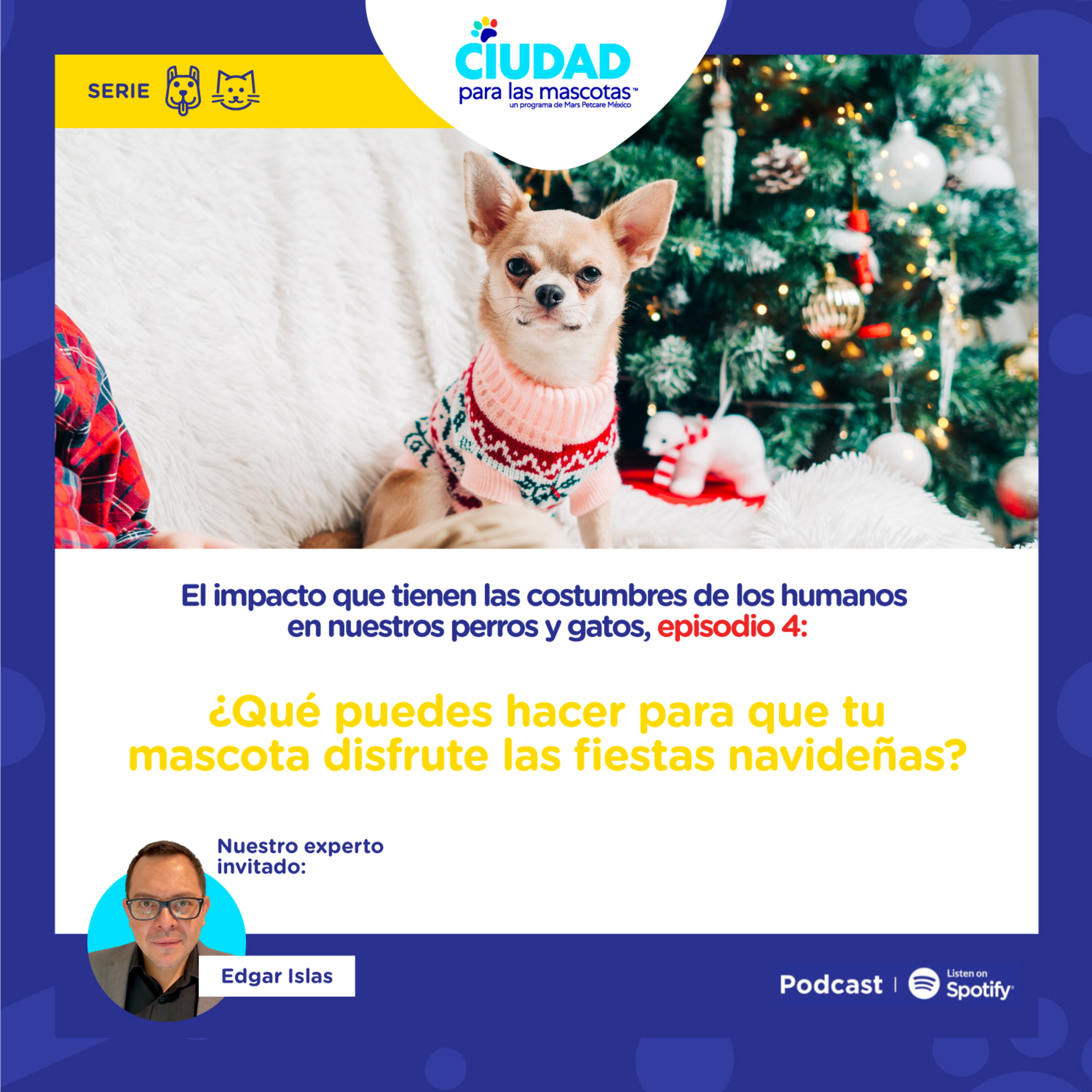 Ciudad para las mascotas