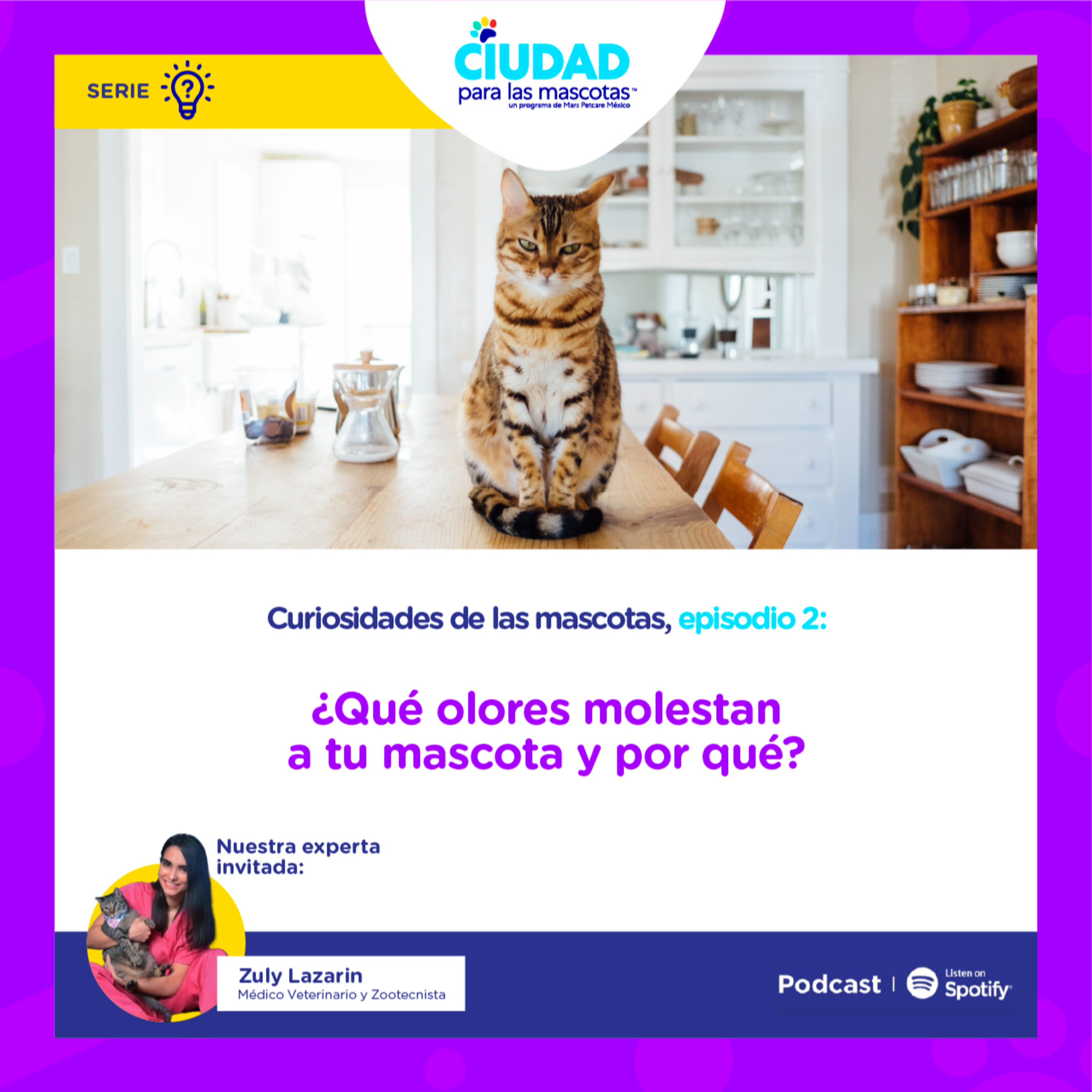 Curiosidades de las mascotas: ¿Qué olores molestan a tu mascota? Y por qué…