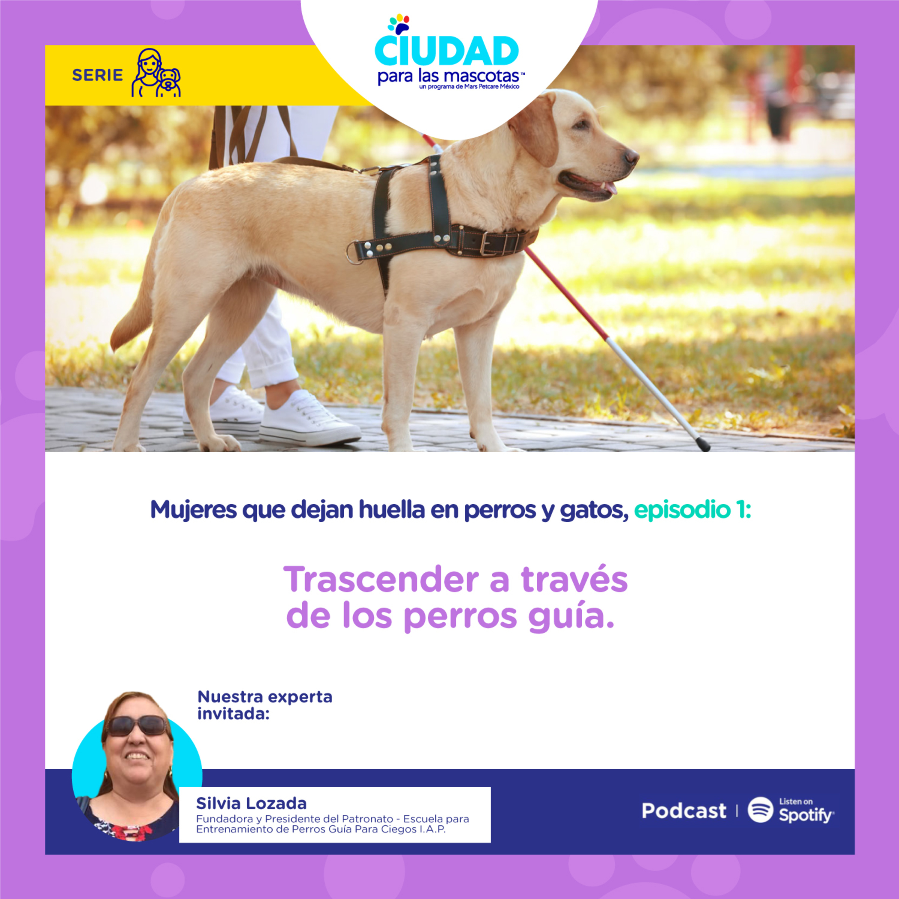 Ciudad para las mascotas
