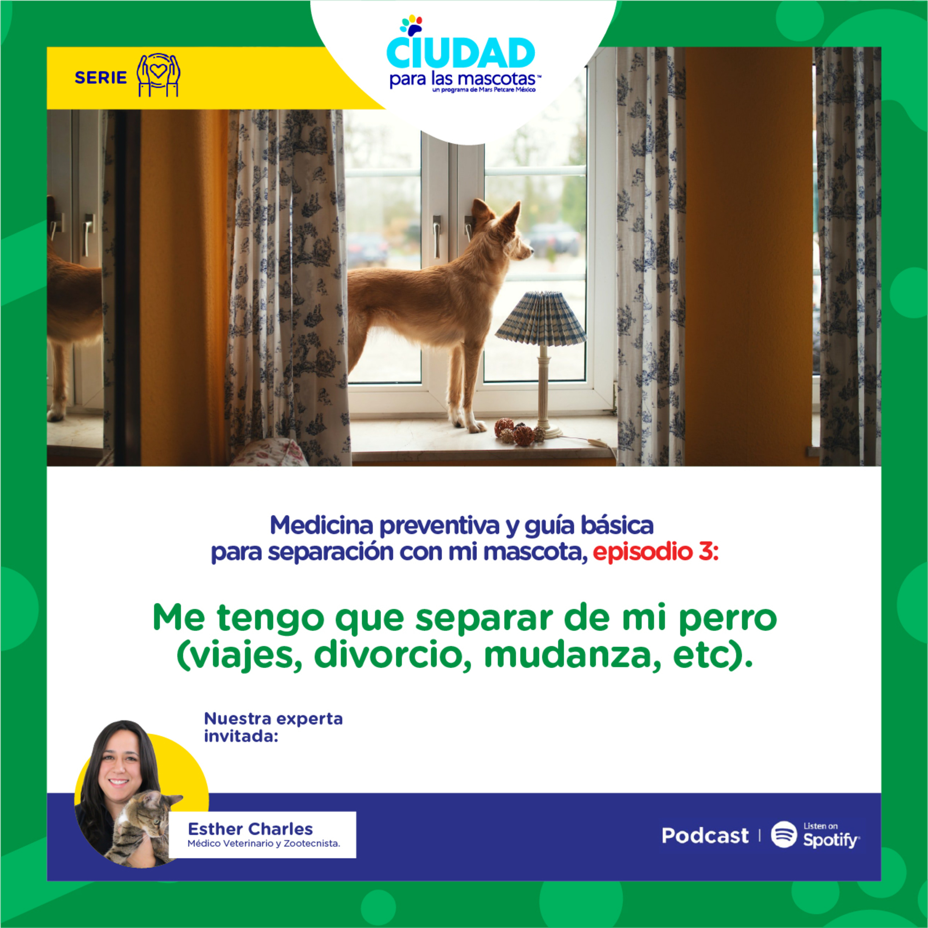 Me tengo que separar de mi perro (viajes, divorcio, mudanza, etc.)