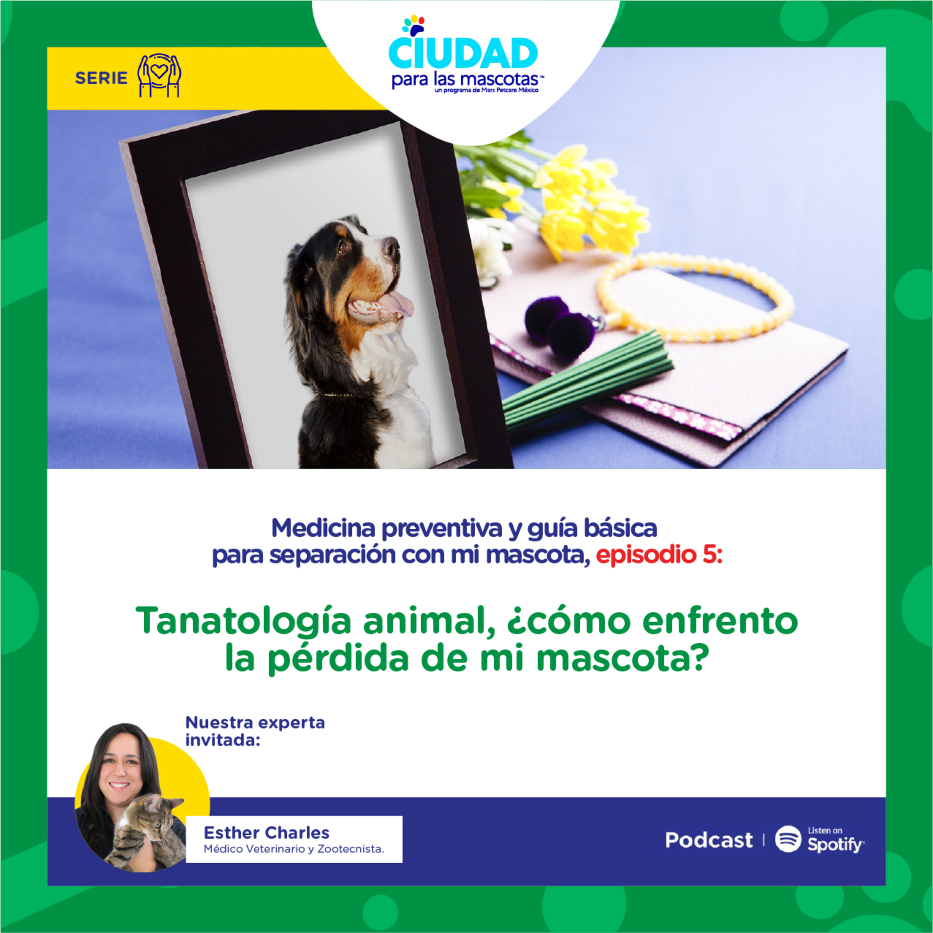 Tanatología animal. ¿Cómo enfrento la muerte de mi mascota?