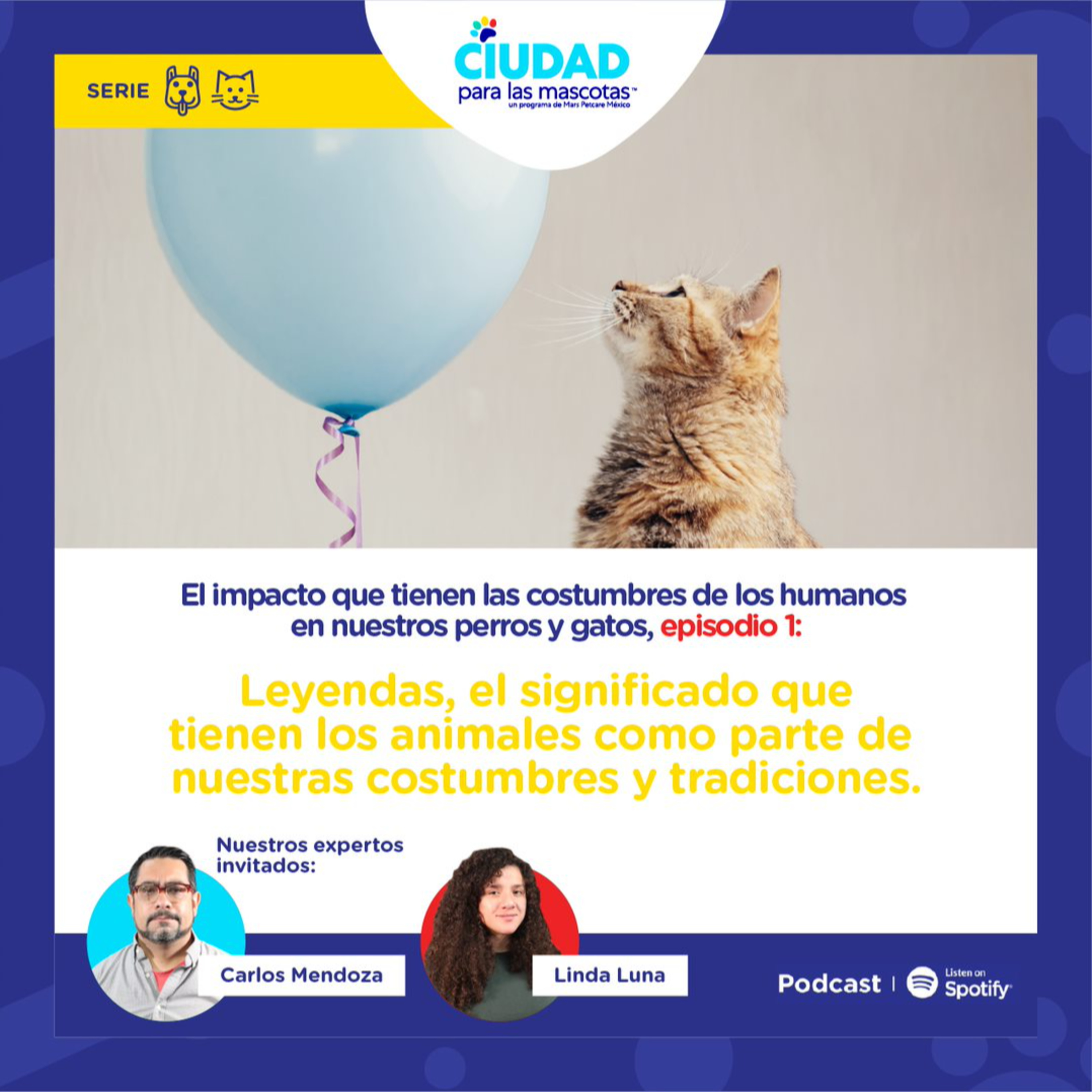 Leyendas, el significado que tienen los animales como parte de nuestras costumbres y tradiciones