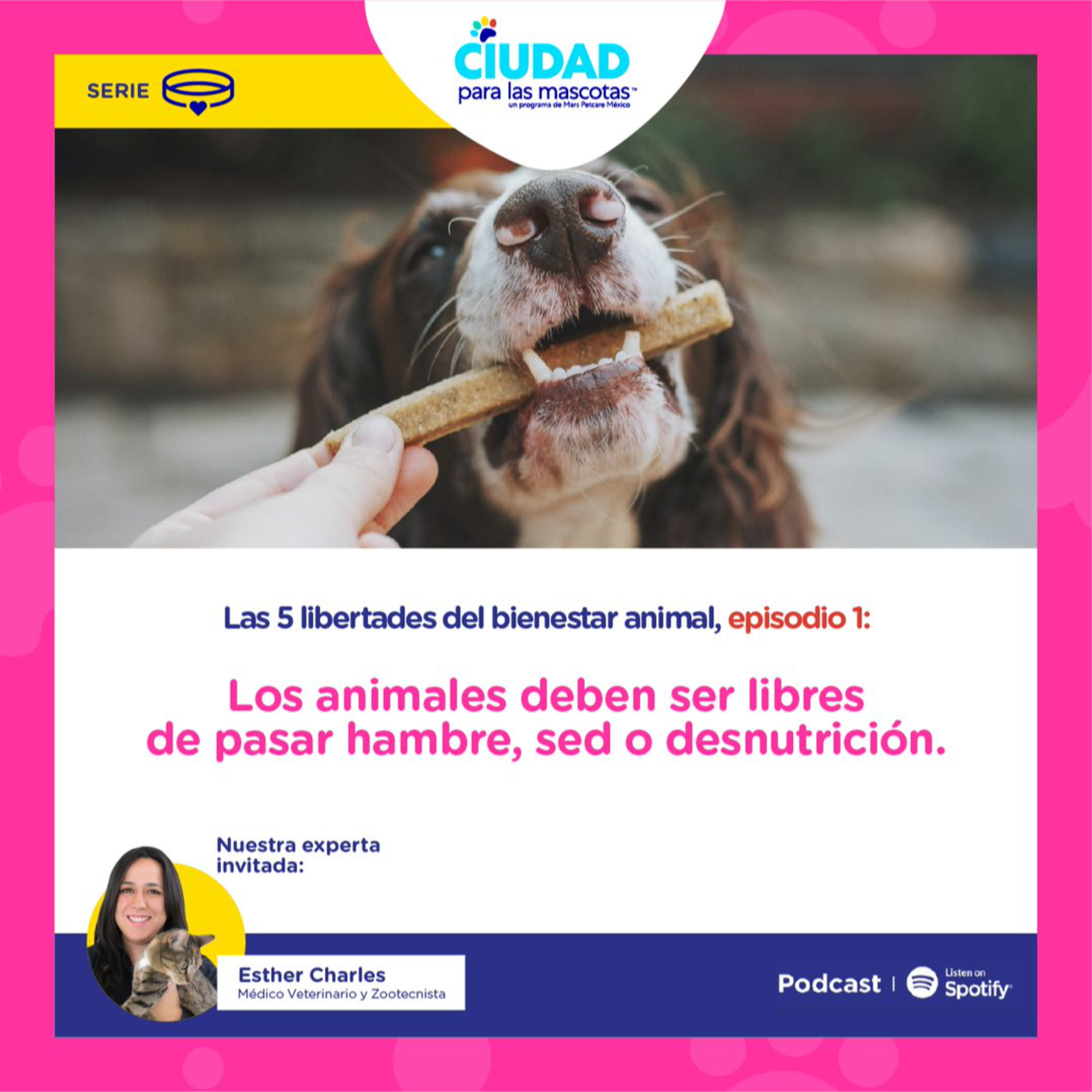Los animales deben ser libres de pasar hambre, sed o desnutrición